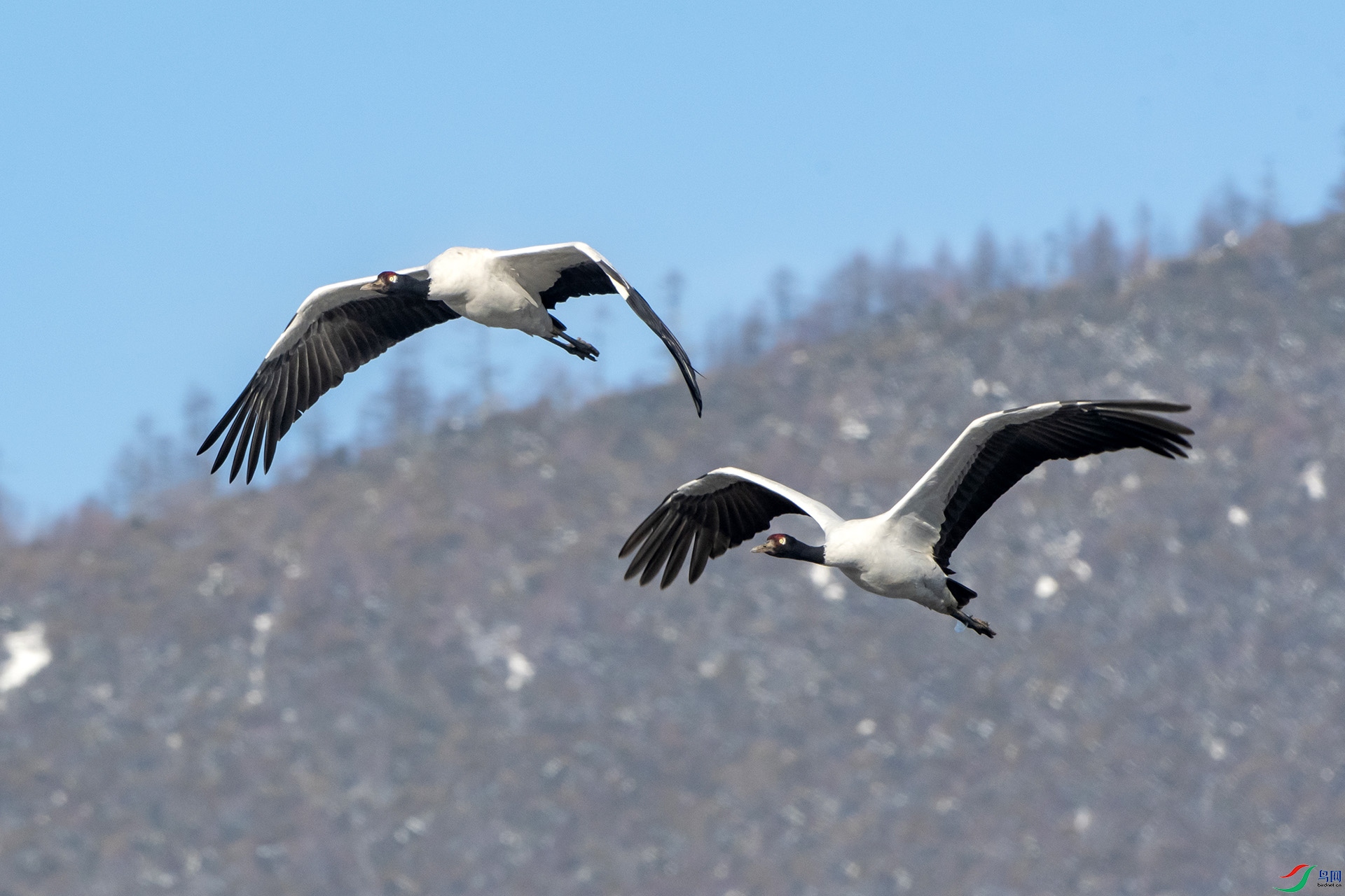 DSC_8256.jpg