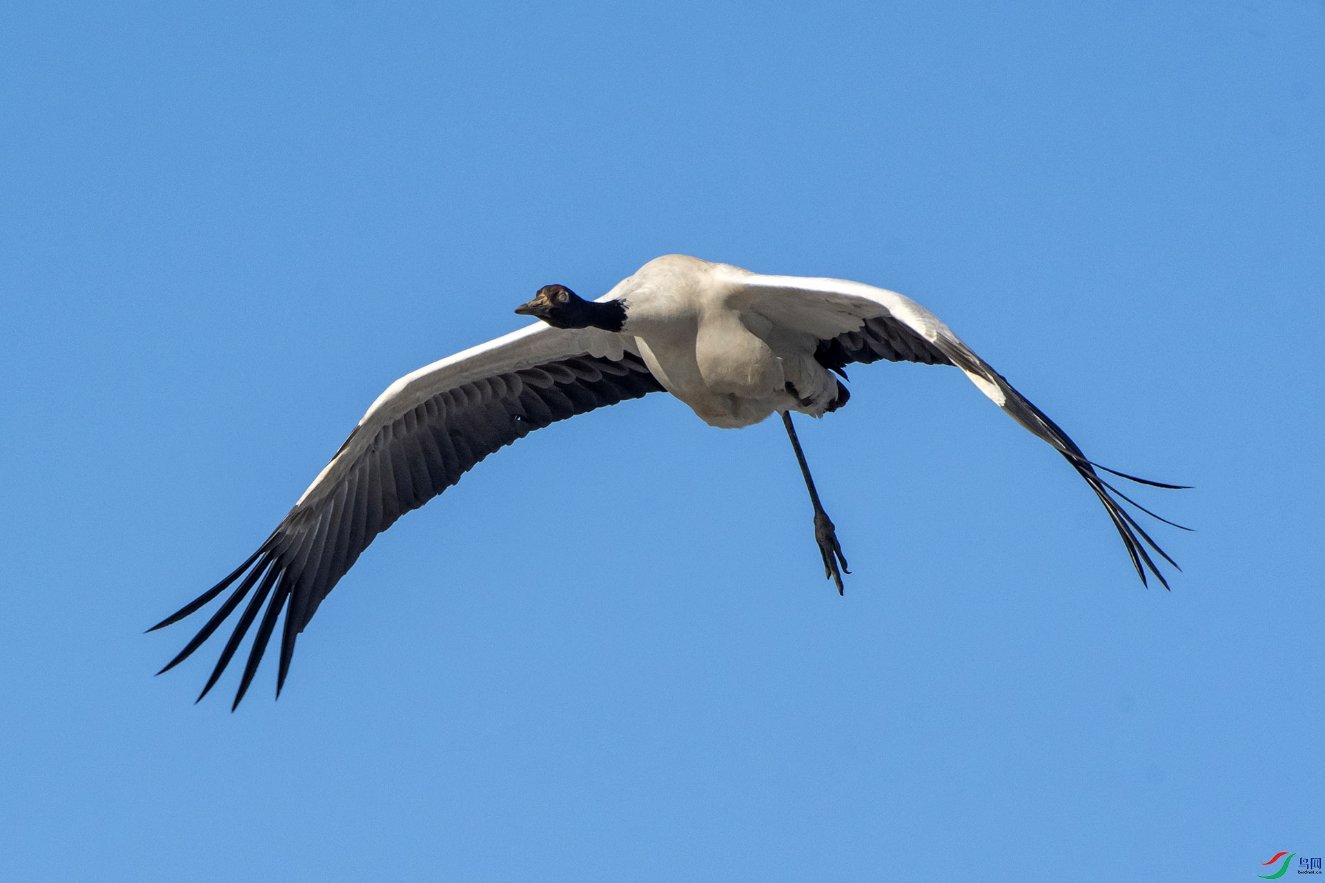 DSC_8272.jpg