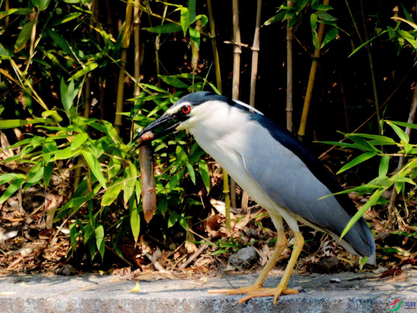 DSC_6862_����.jpg