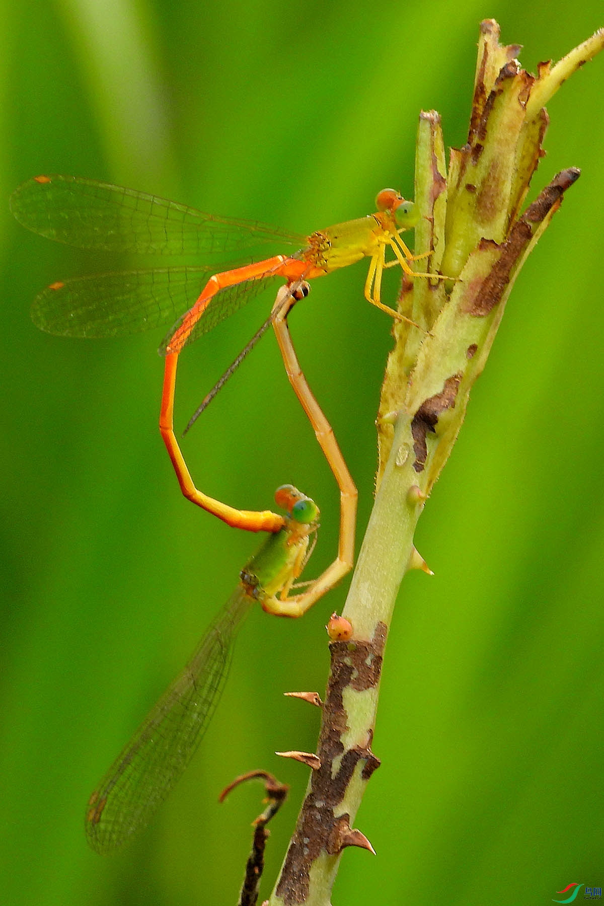 DSCN1061.jpg
