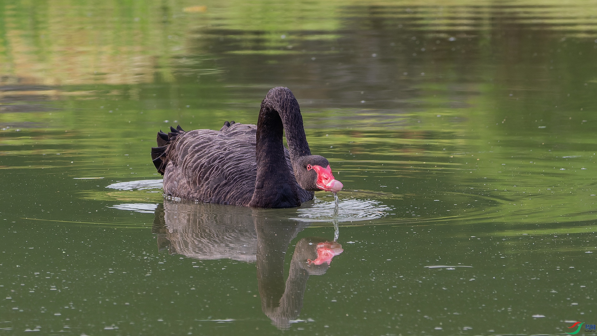 IMG_2802-CR2_DxO_DeepPRIMEa.jpg