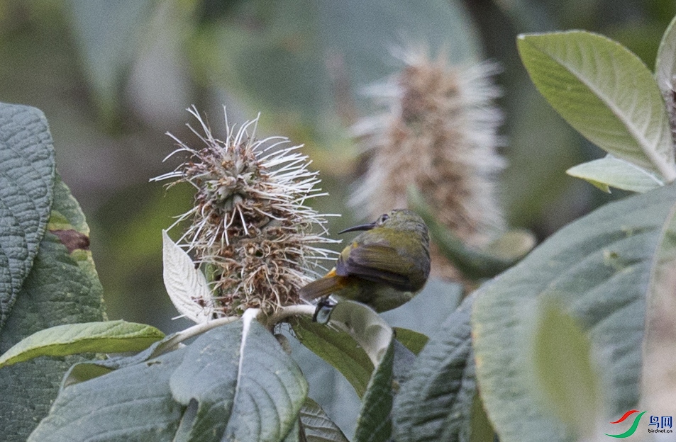 �ɽ��� (132)����.jpg