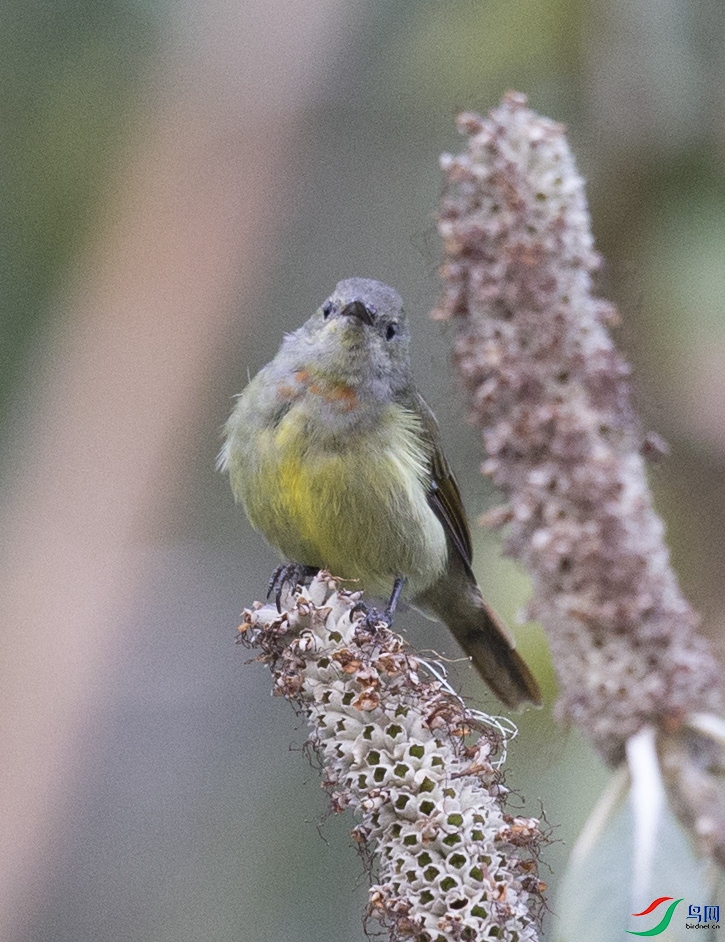 �ɽ��� (30)����.jpg