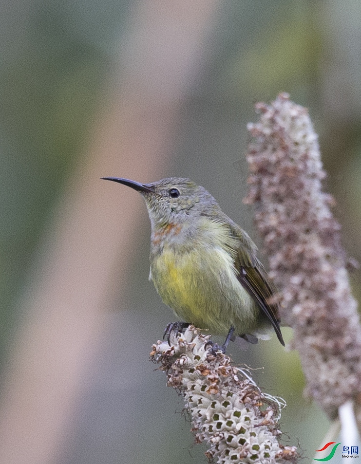 �ɽ��� (29)����.jpg