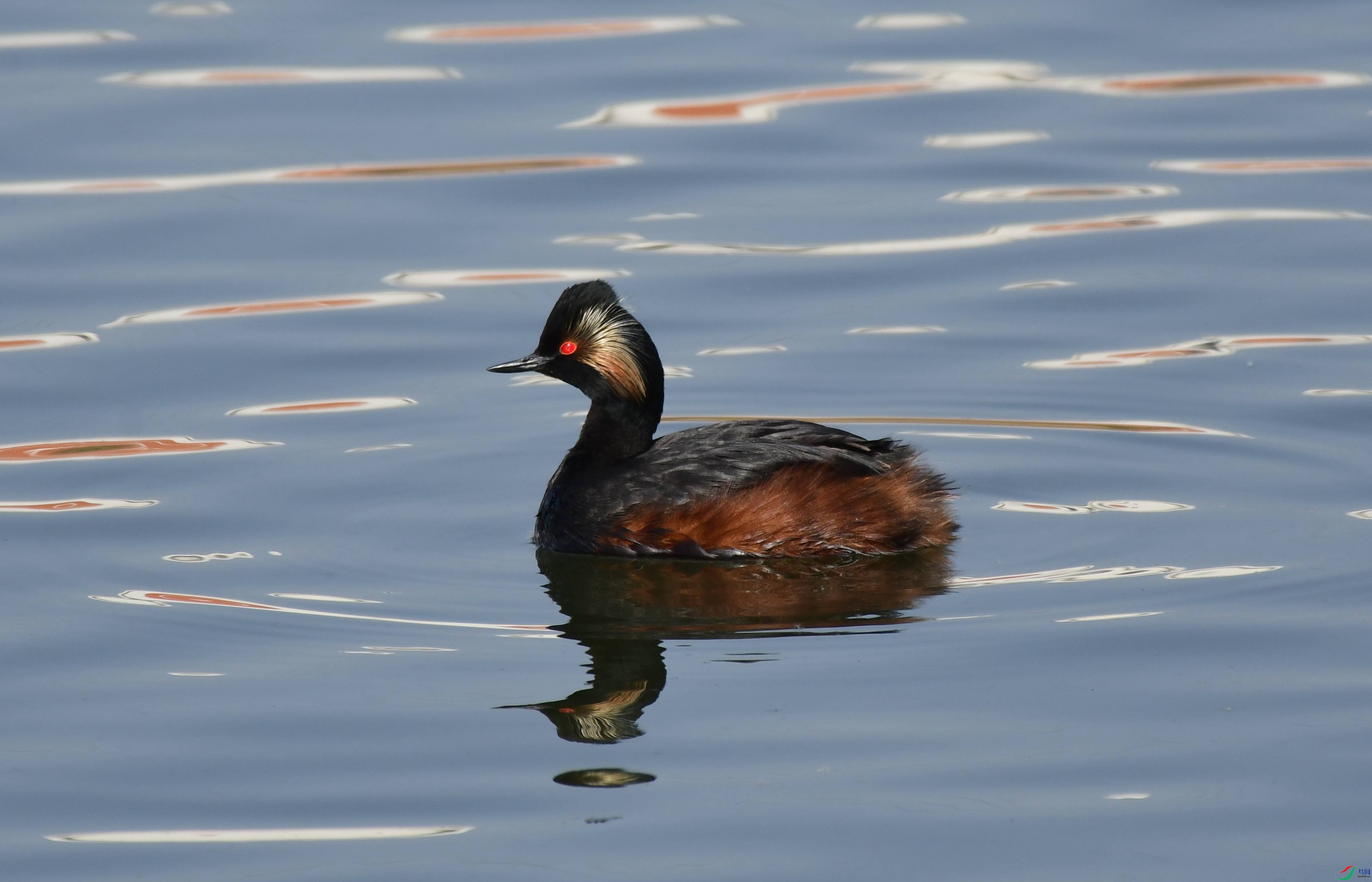 DSC_5875_����.jpg