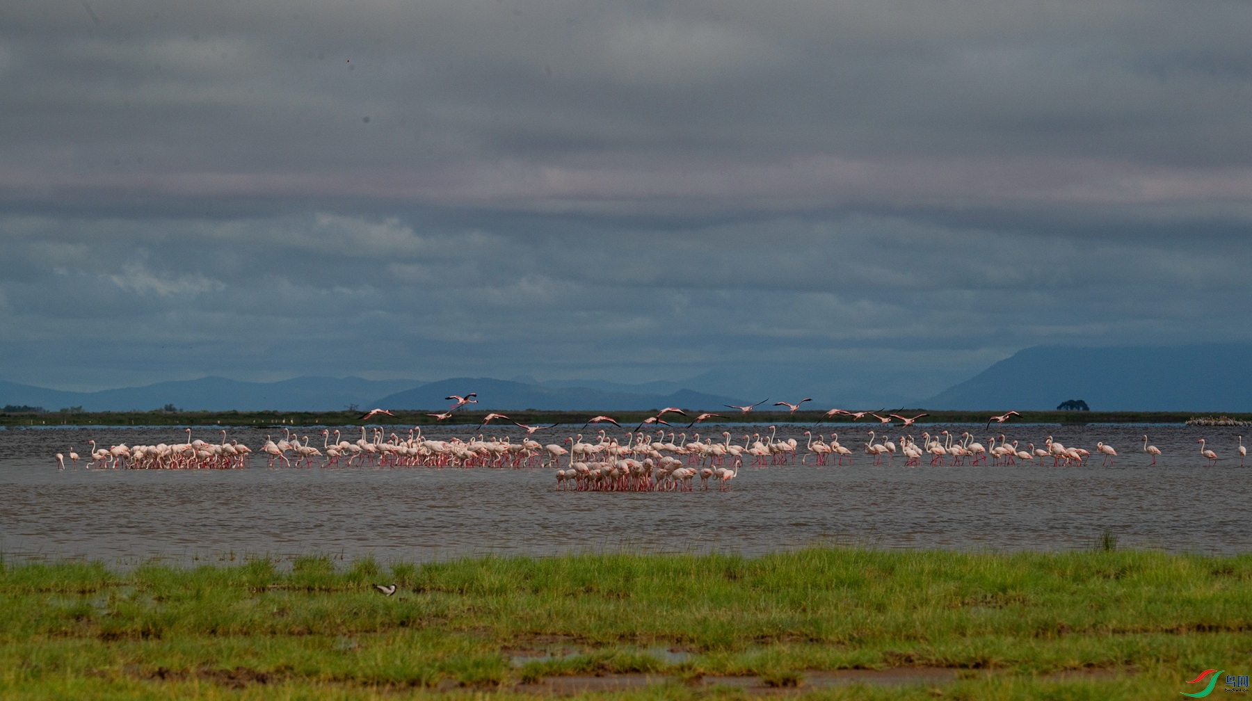 DSC_5020_����.jpg