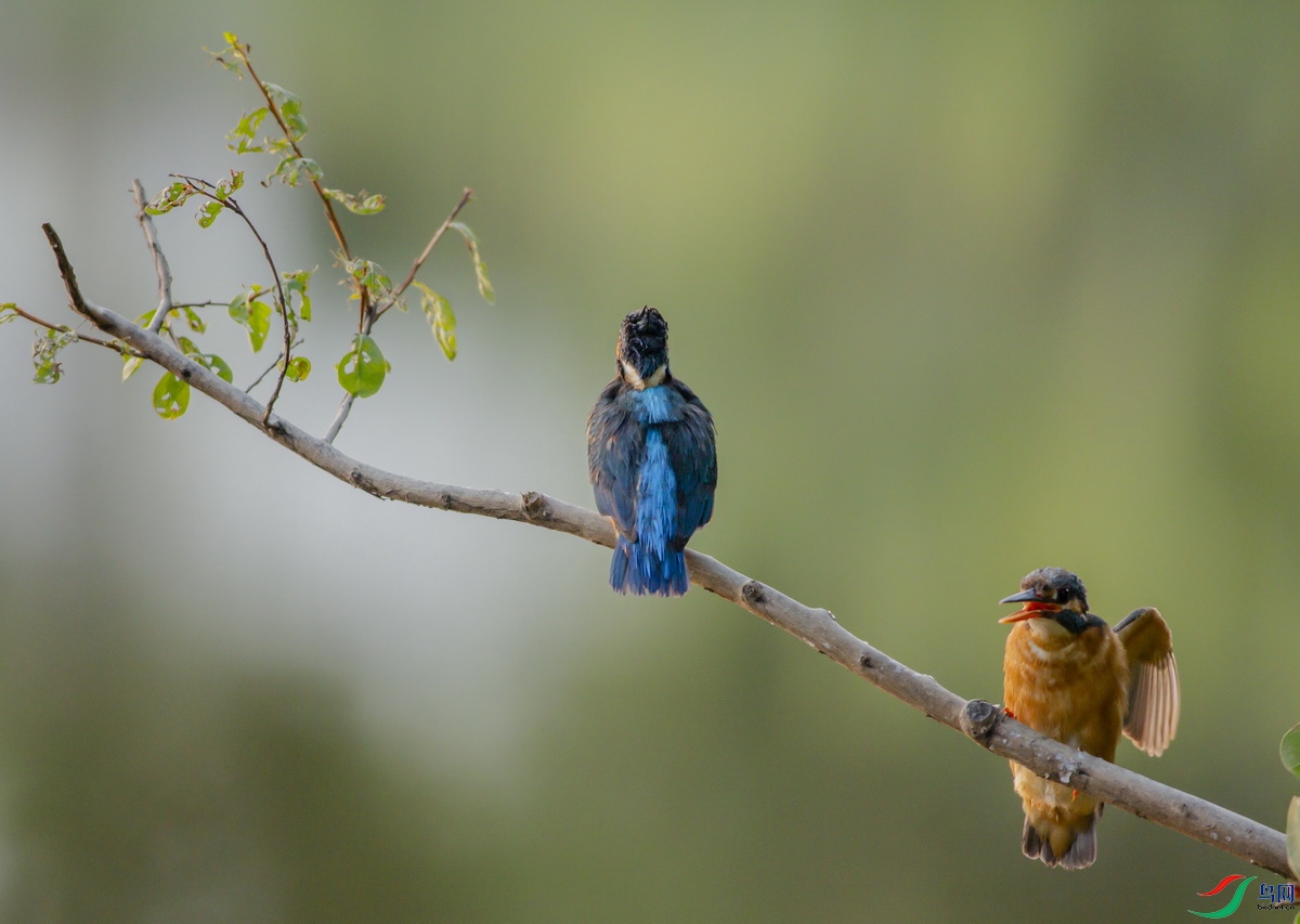 530A1749.JPG