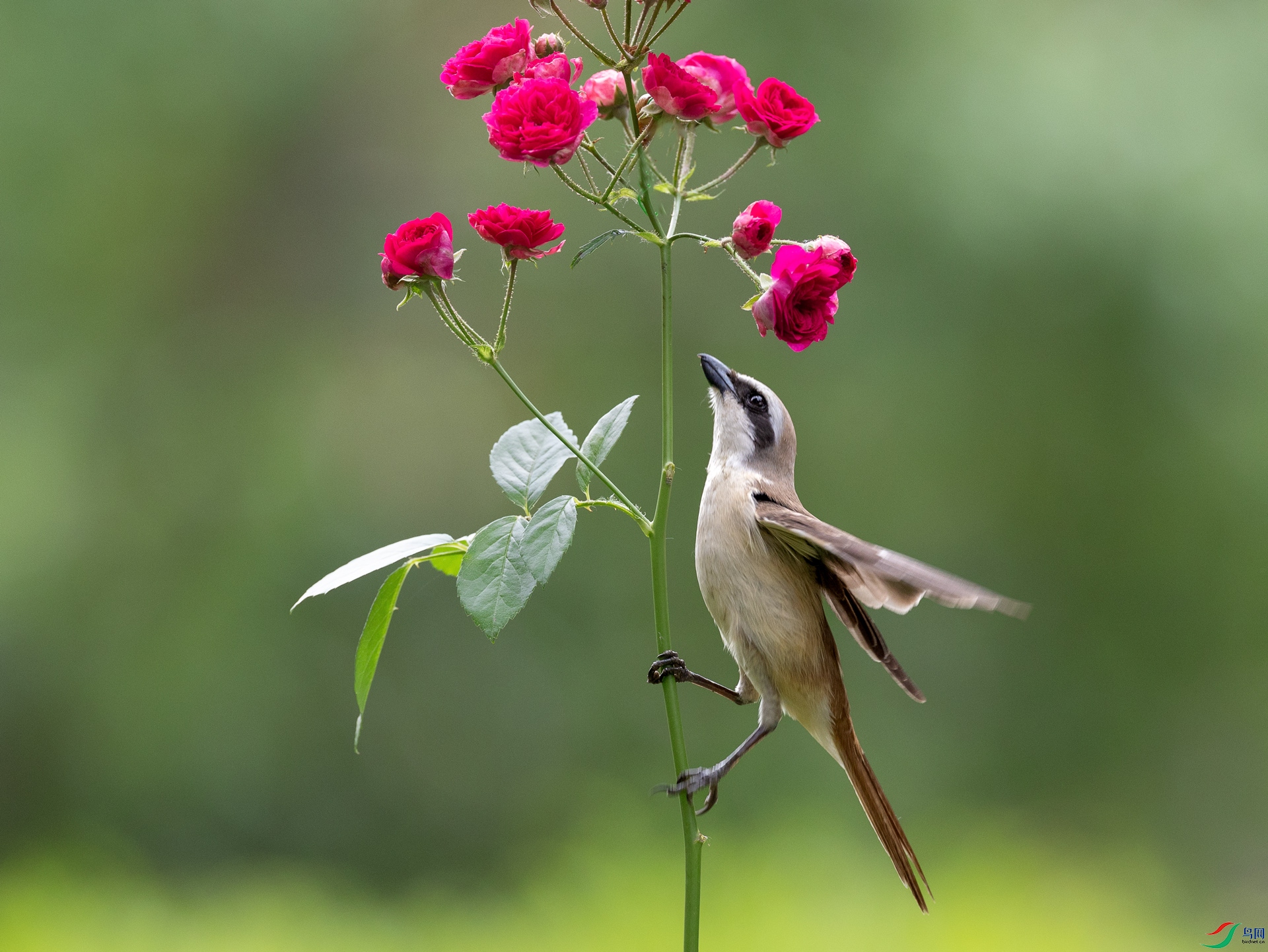 ����0C4A6764.jpg