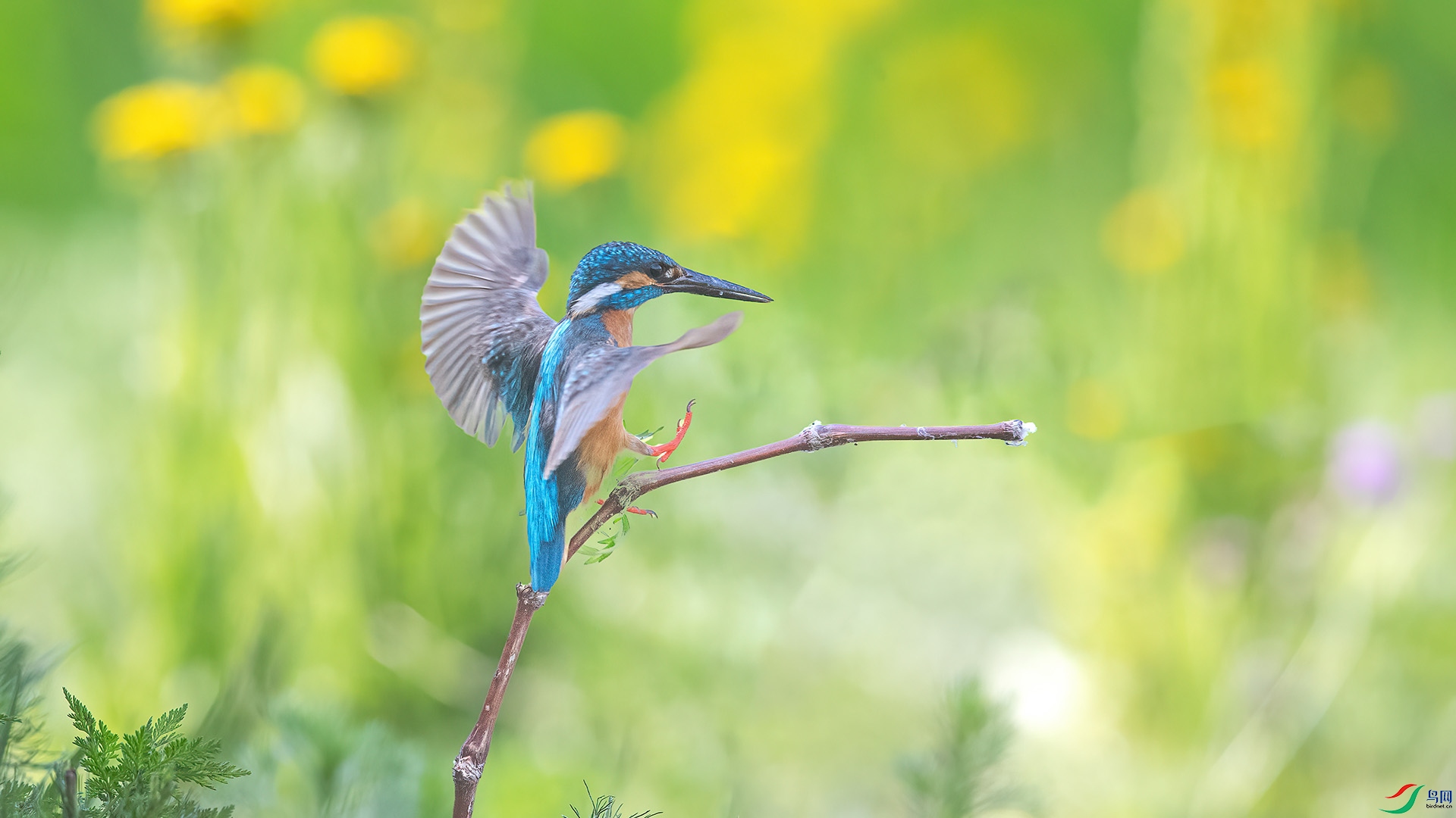 1DX_5067 ����.jpg