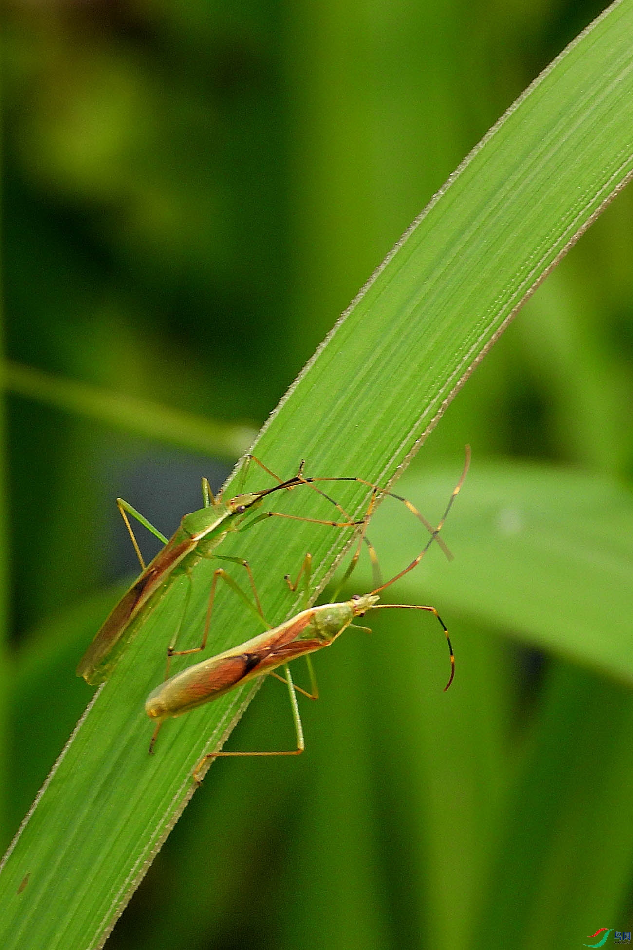 DSCN1048.jpg