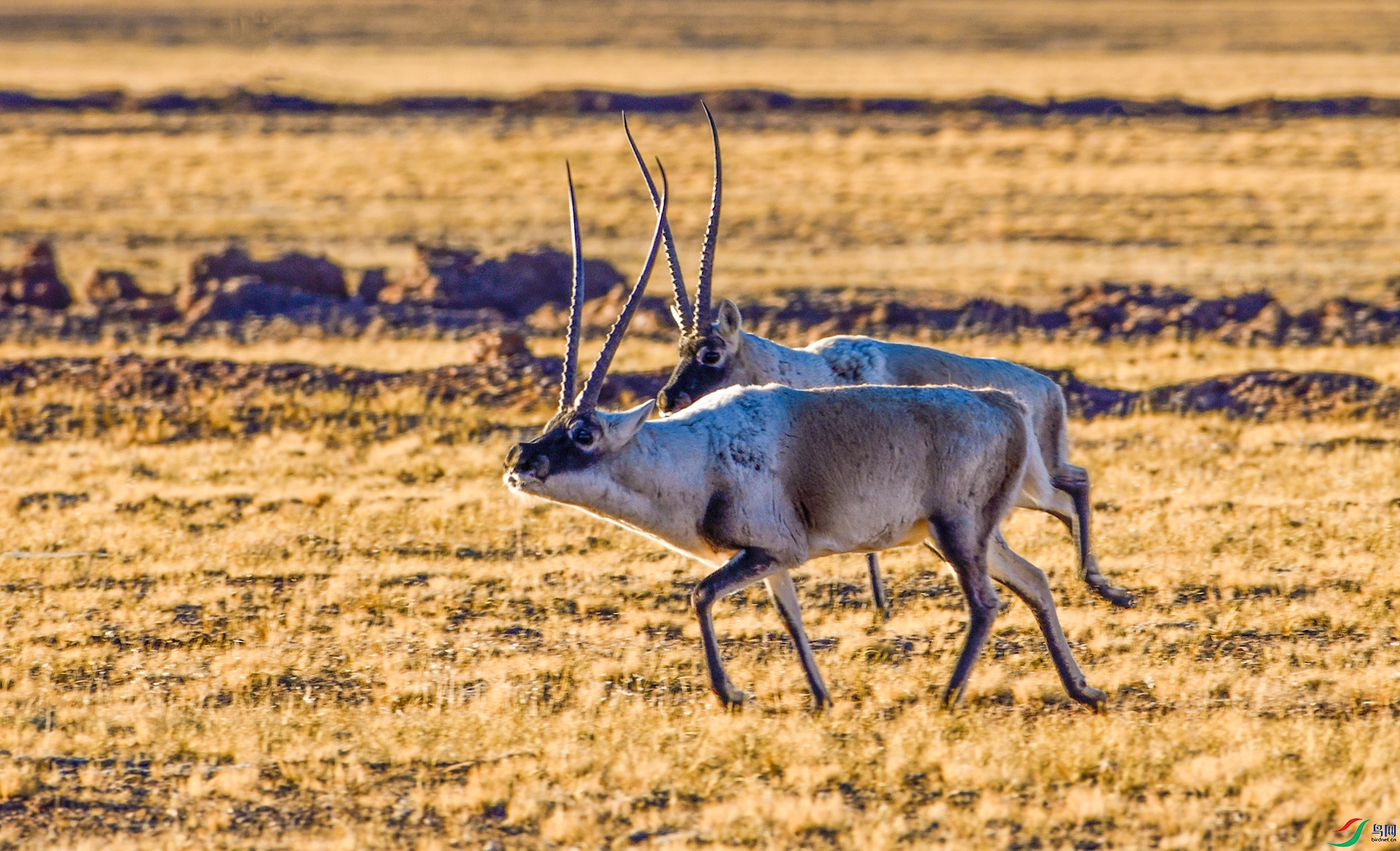 _DSC3409_����.jpg