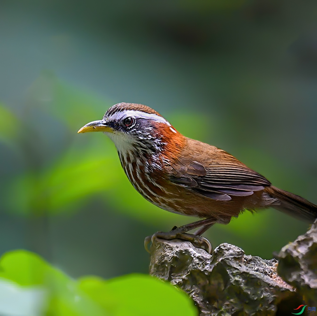 20201001-1.jpg