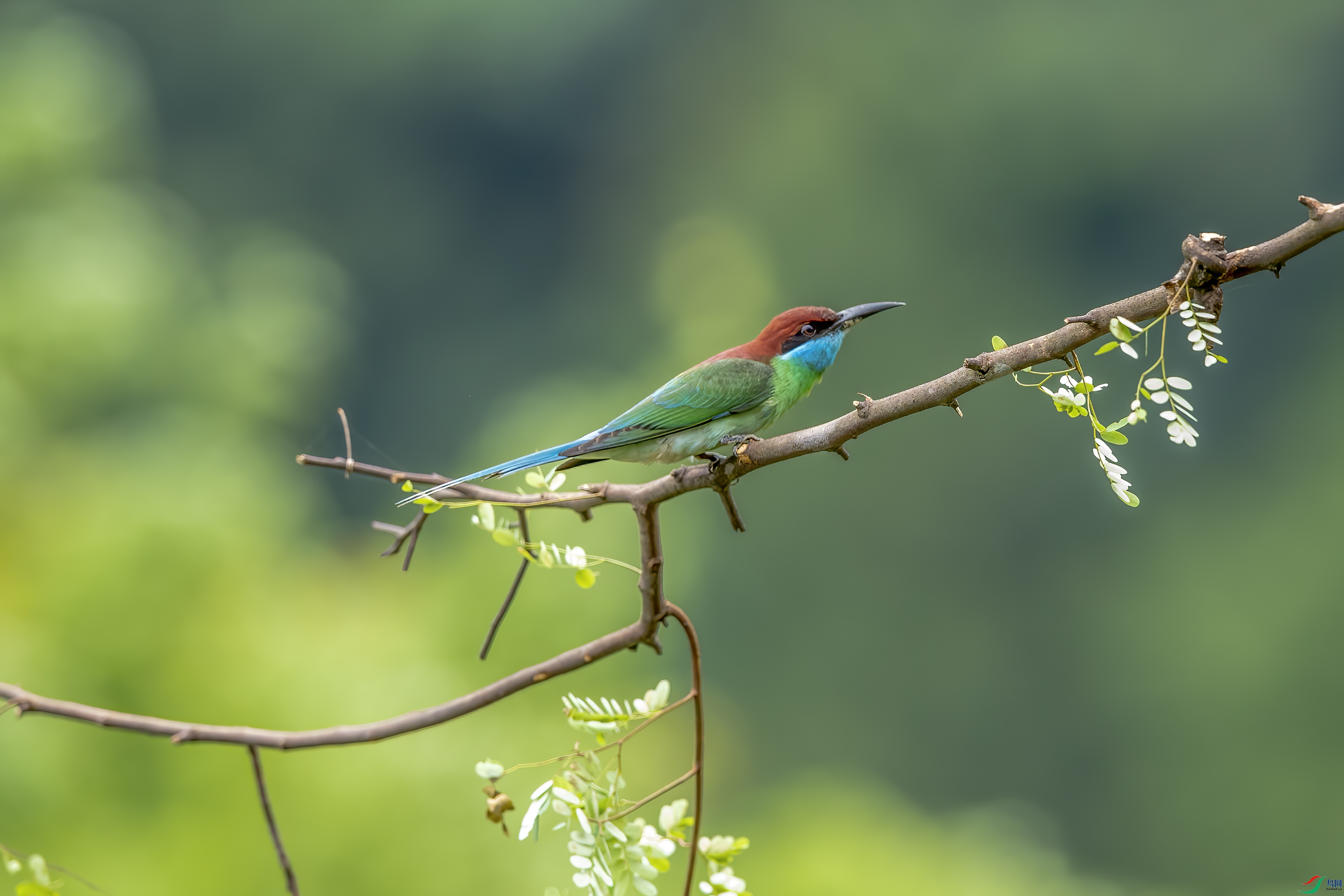 DSC_3814.jpg