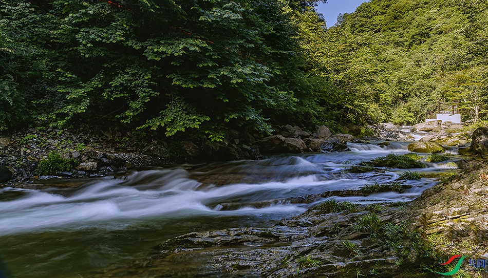 817A2185 ����a-1c.jpg