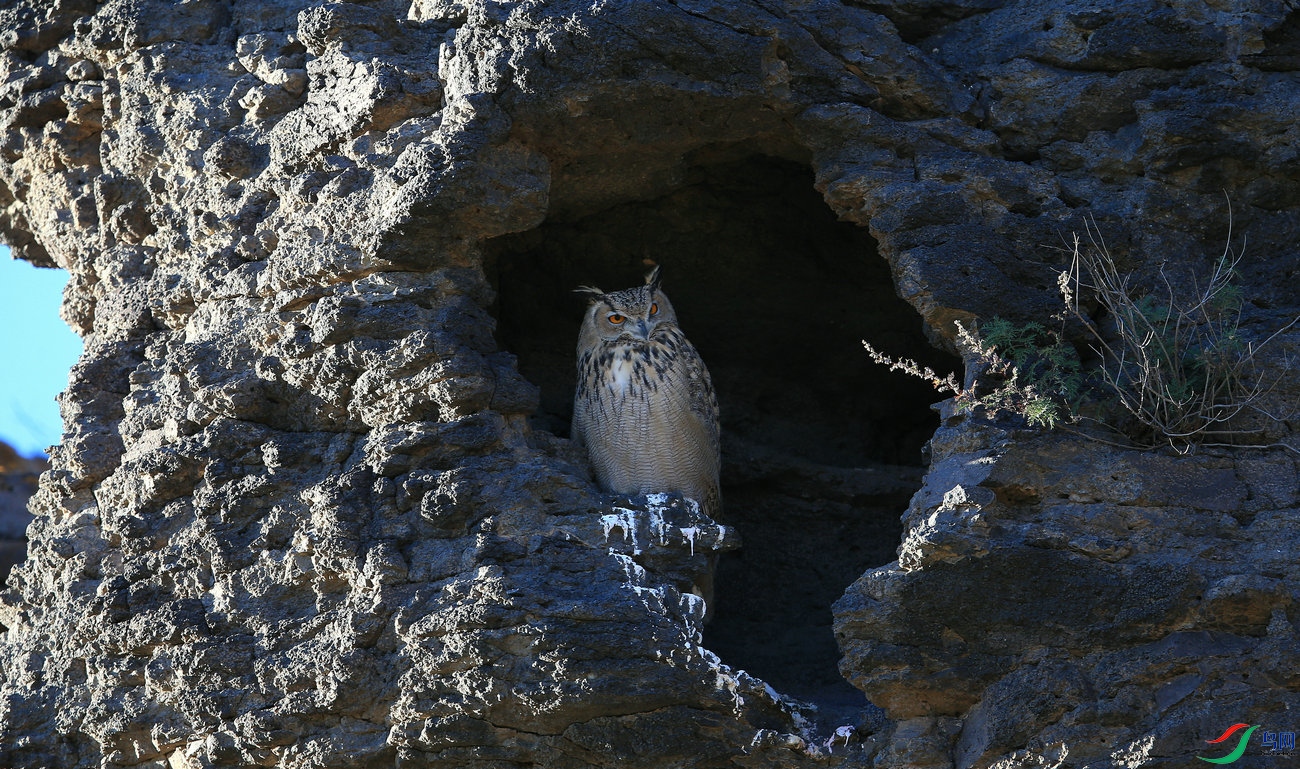 X 14 ����.jpg