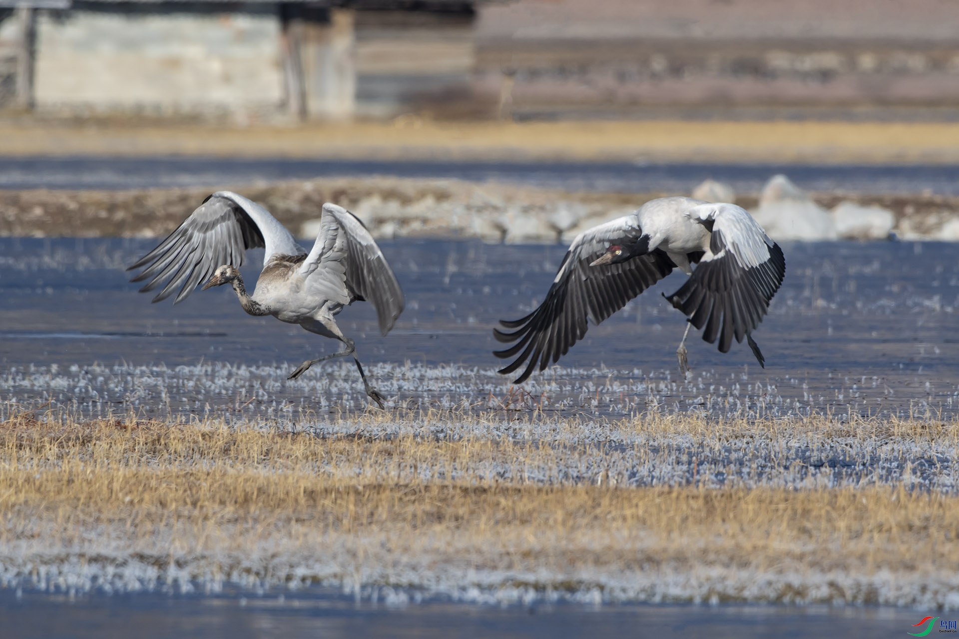DSC_3843.jpg