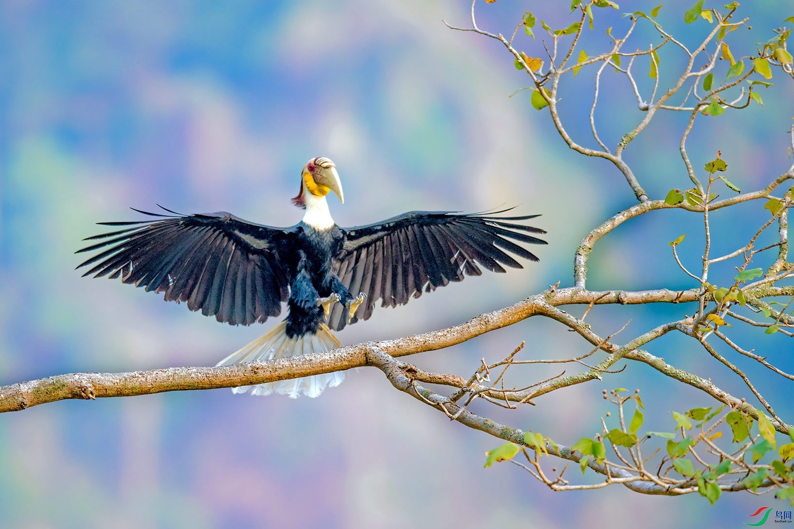 ��Ȼ���  ������  �������Ϭ��  13653817008  ����֣�� (4).jpg