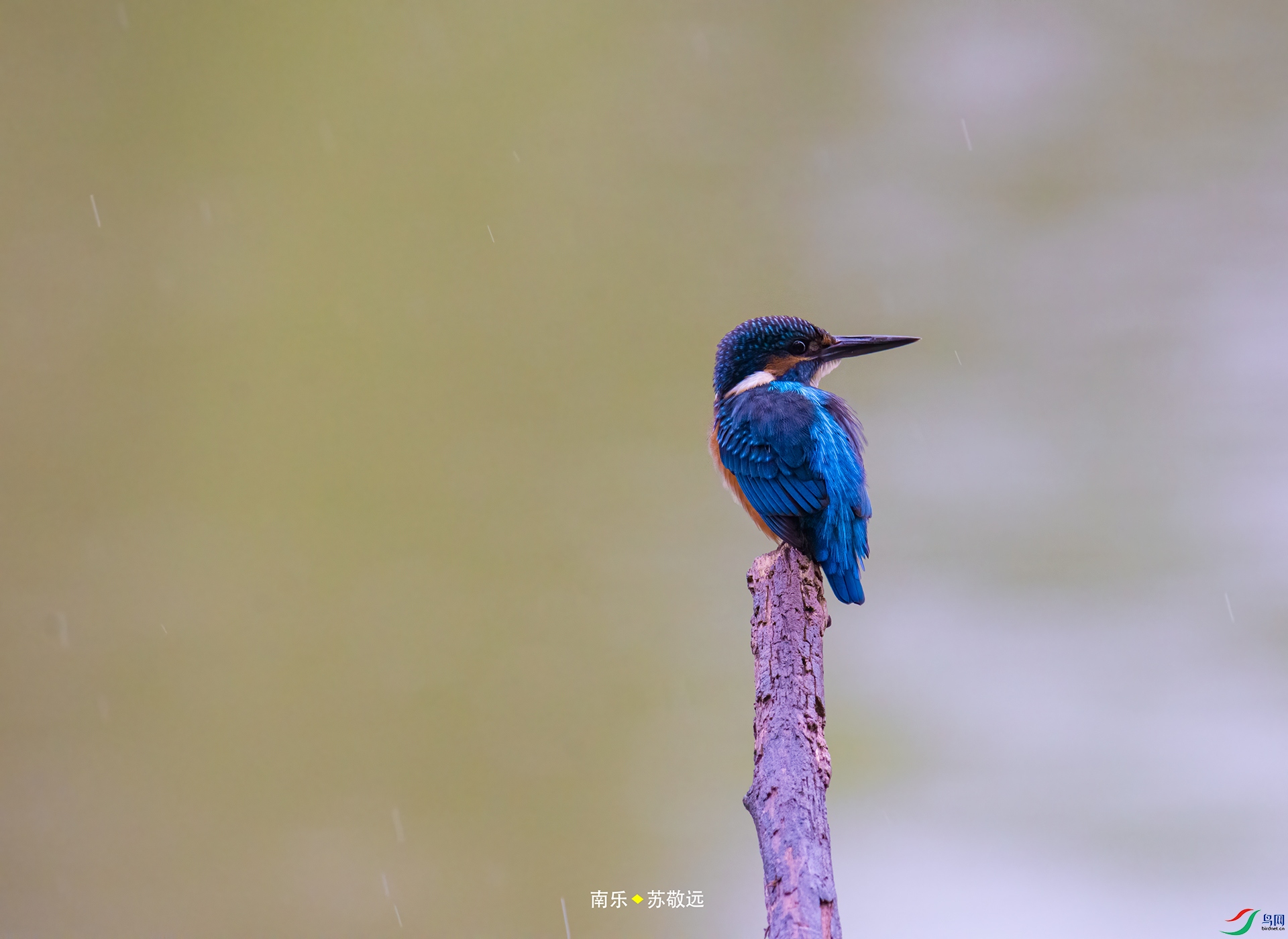 _DSC3426С.jpg