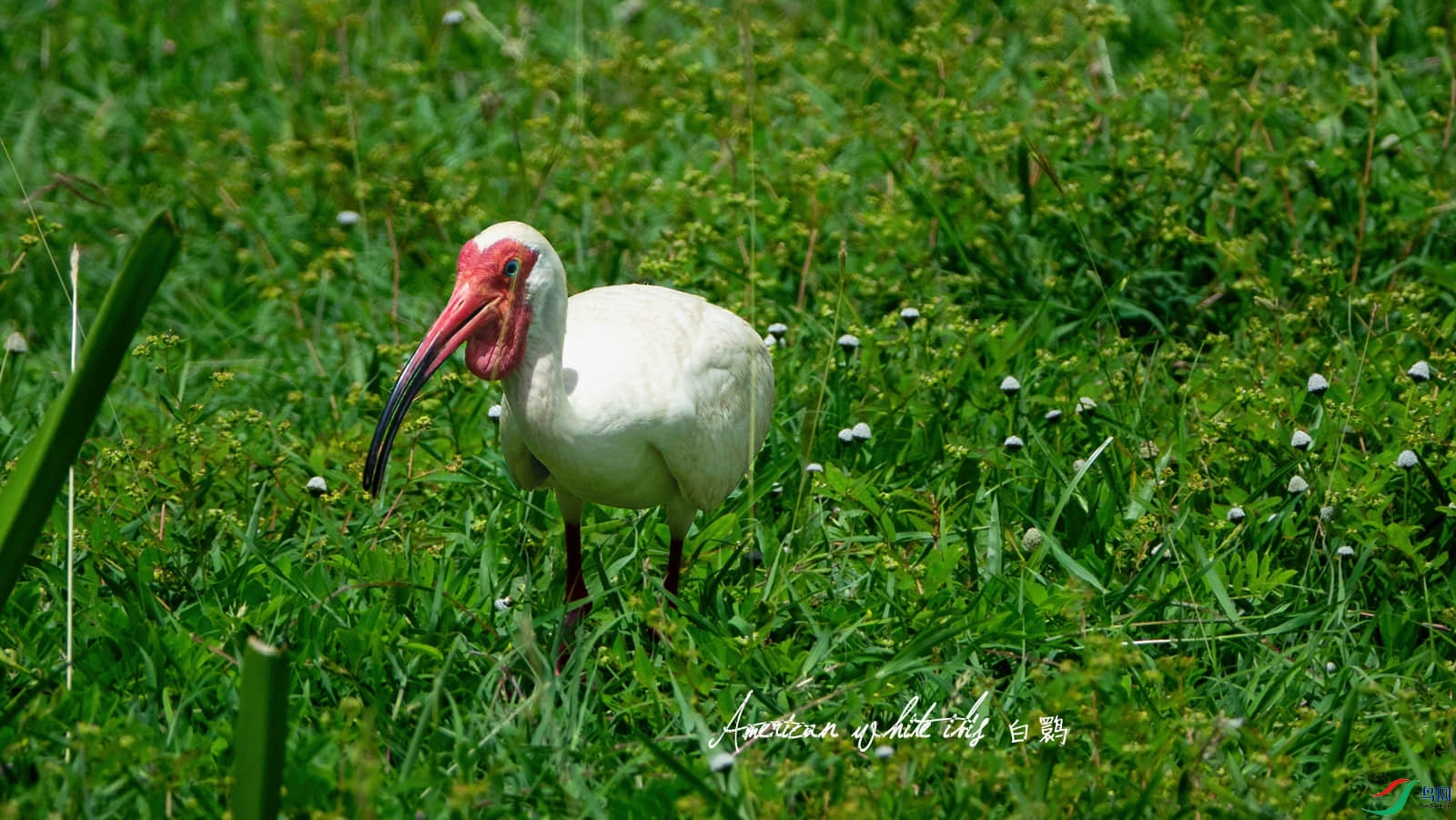 DSC06107-SAI-sharpen_����.jpg