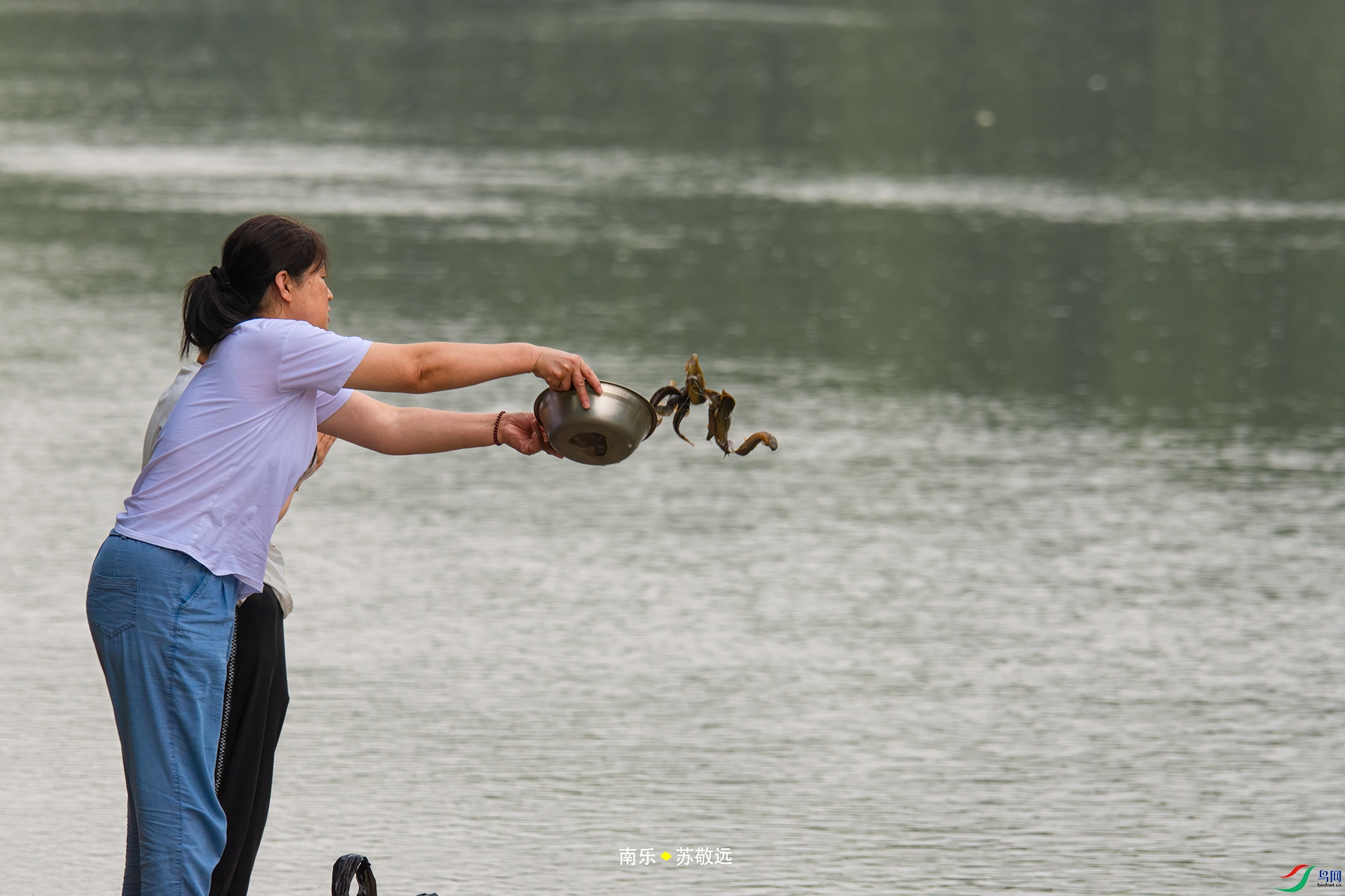 _DSC3564С.jpg
