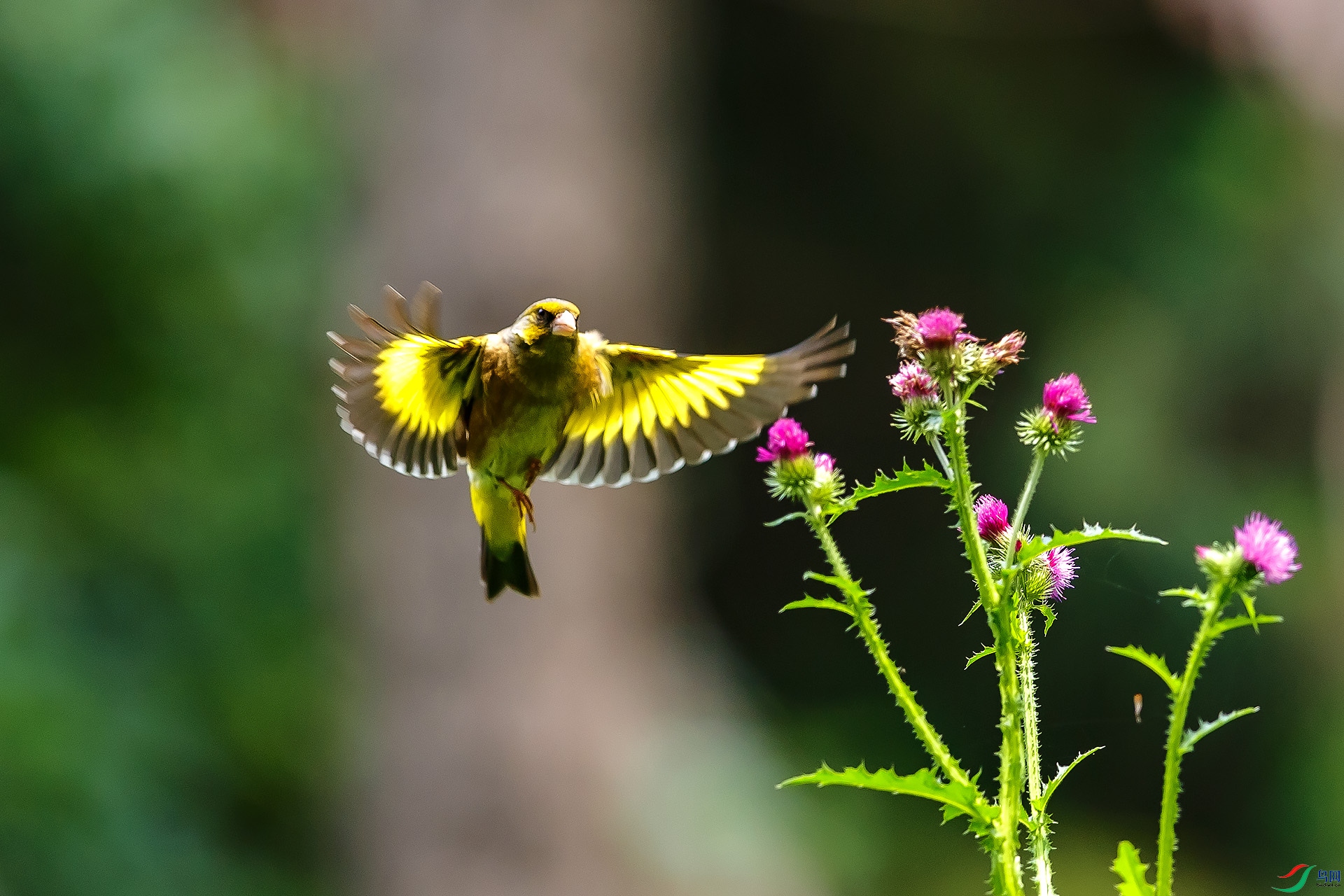 B56T4697 ����.jpg