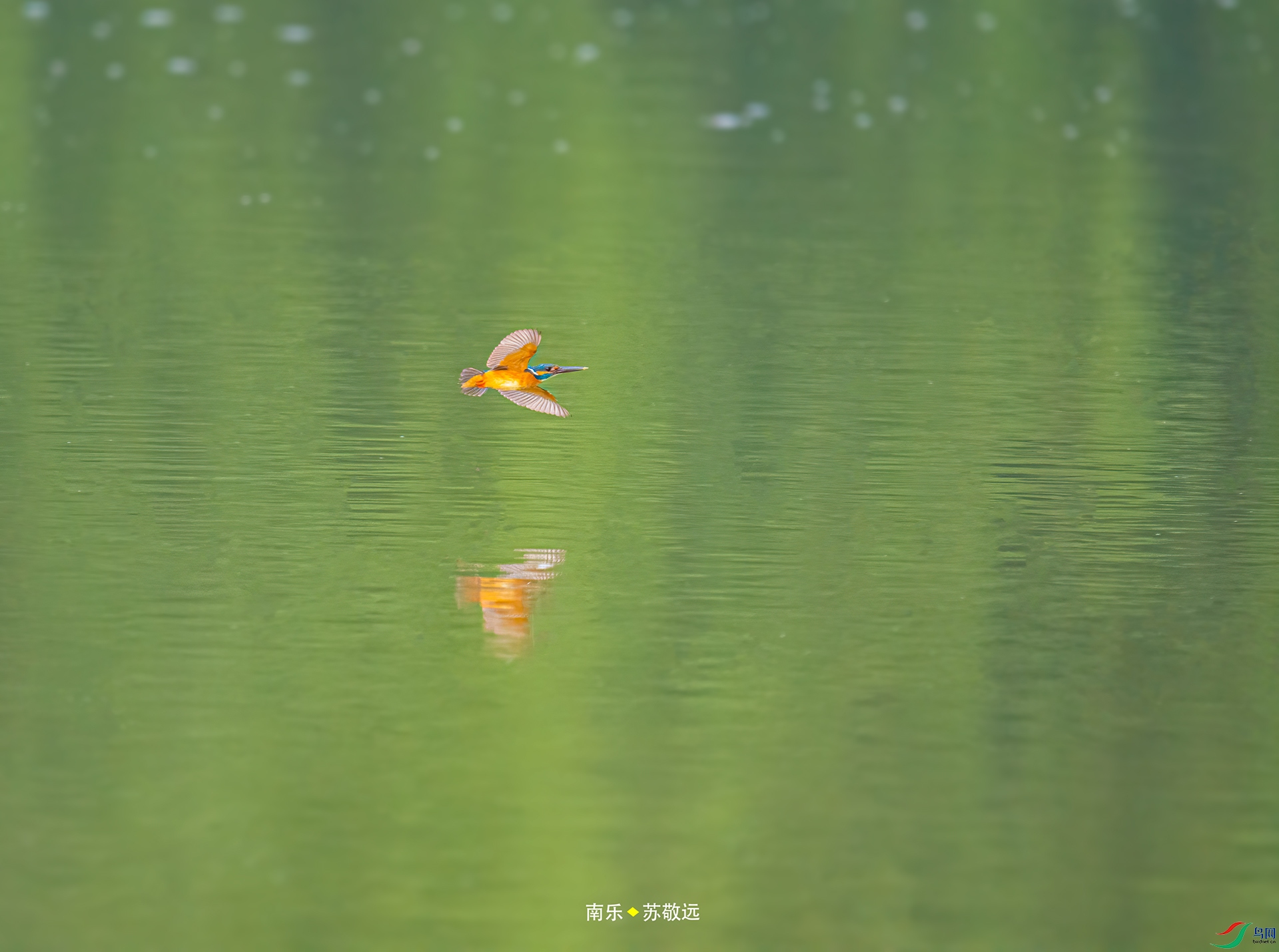 _DSC3658С.jpg