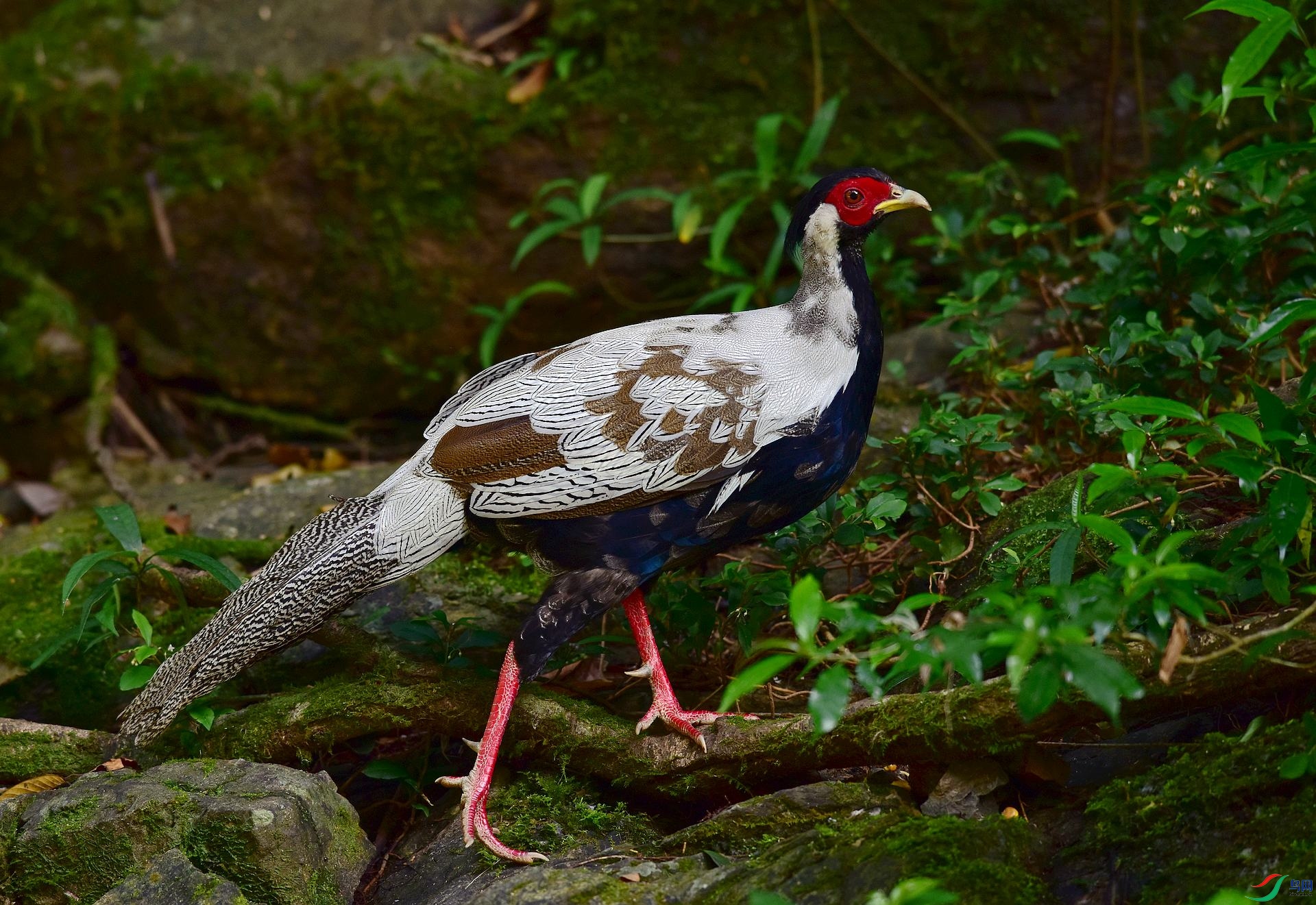 D8I_5504.jpg