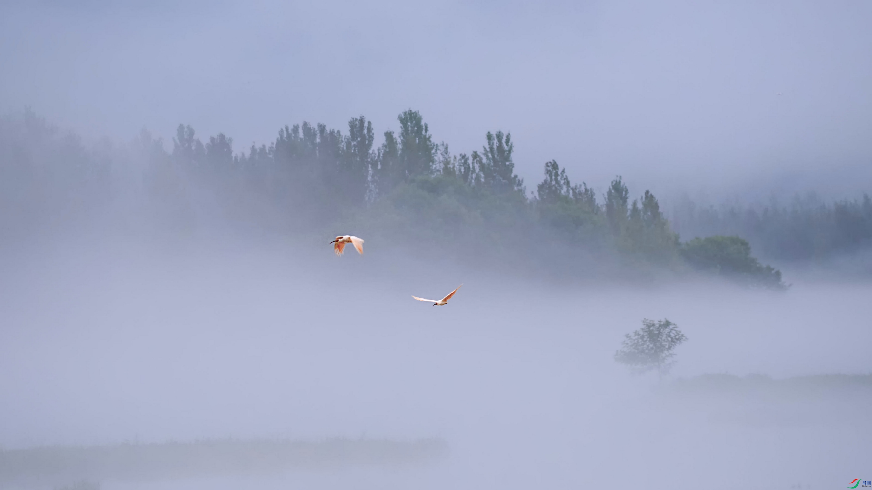 _DSC1243DF01A.jpg