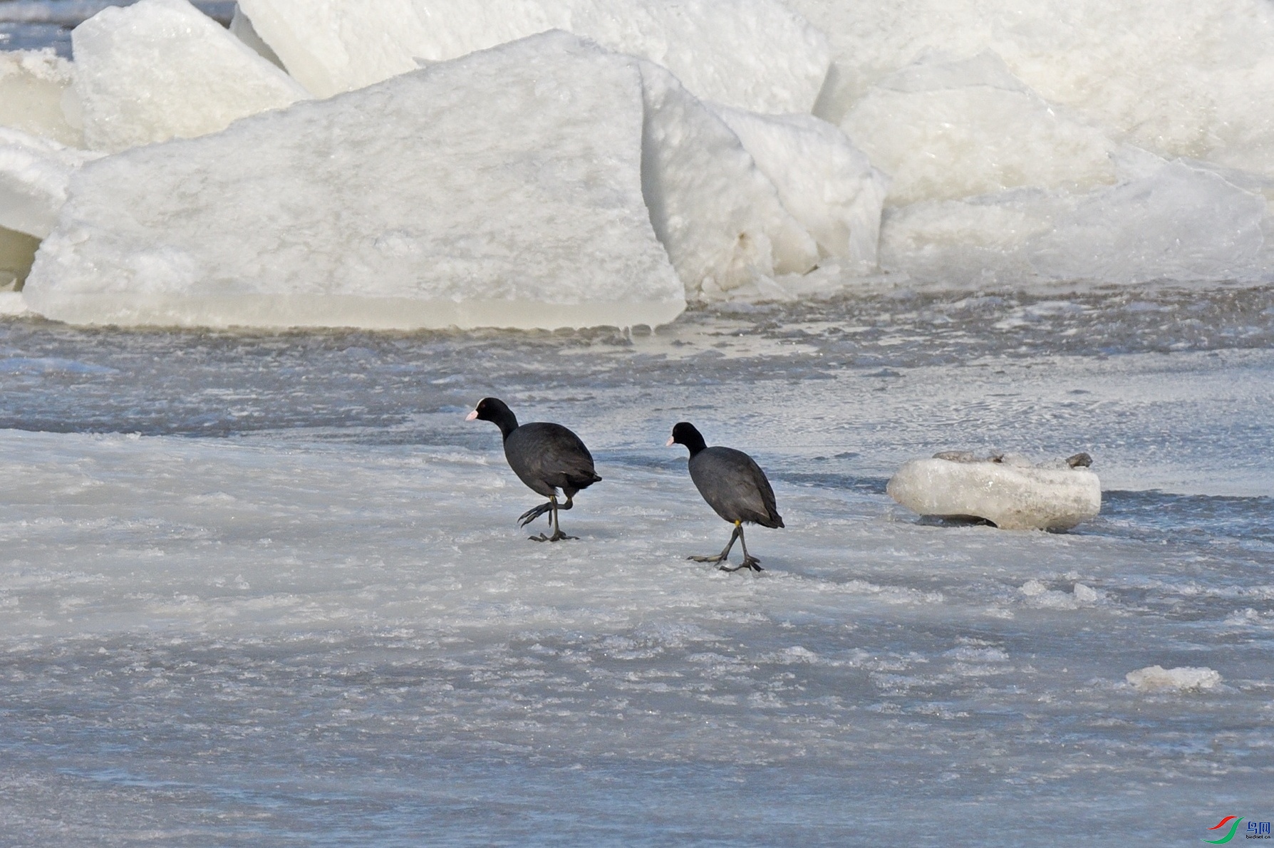 DSC_58002.jpg