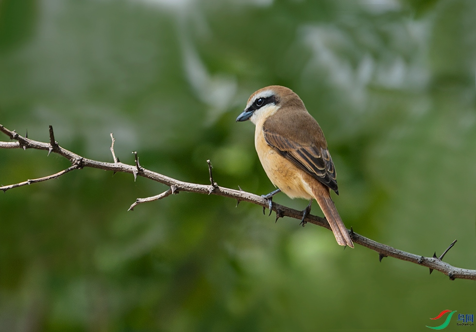 DSC_5280.jpg