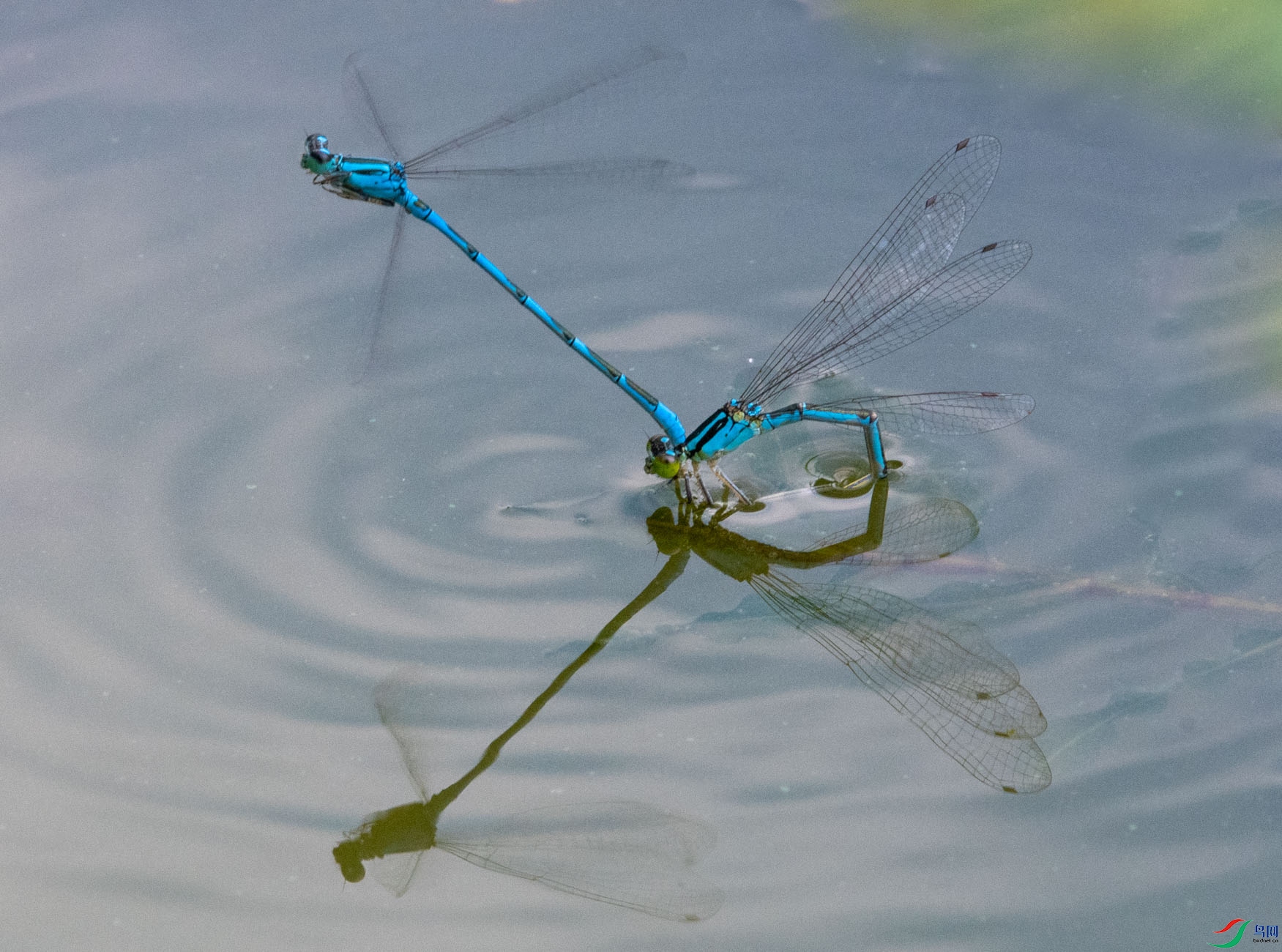 DSC_7732.jpg