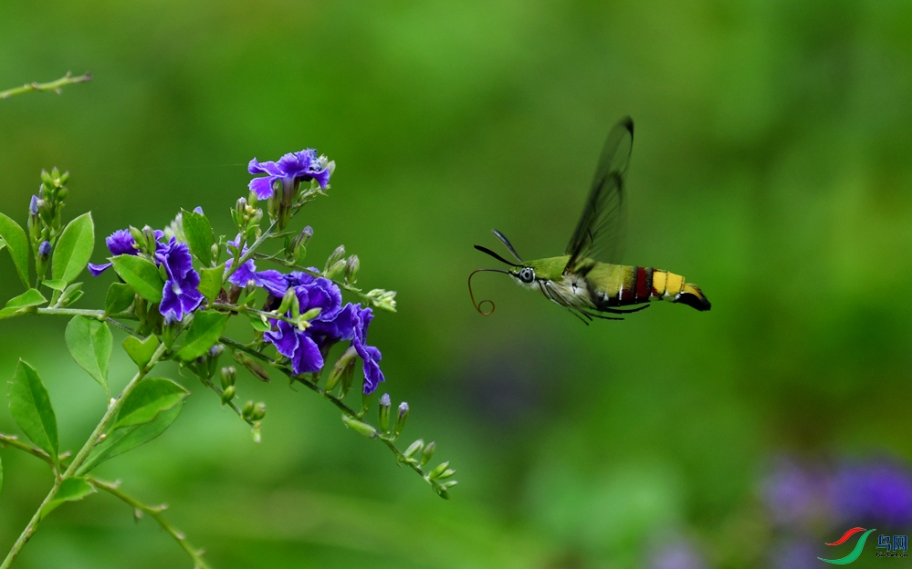 DSC_9973_��ͼ��_����222.jpg