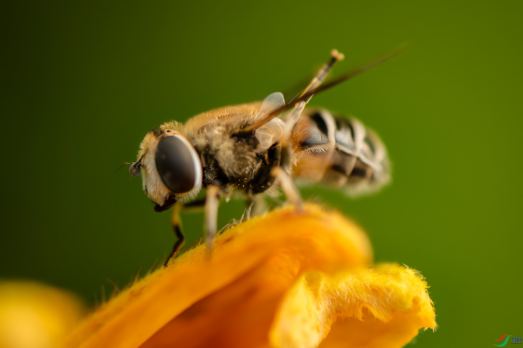 DSC_6922 ����_����.jpg