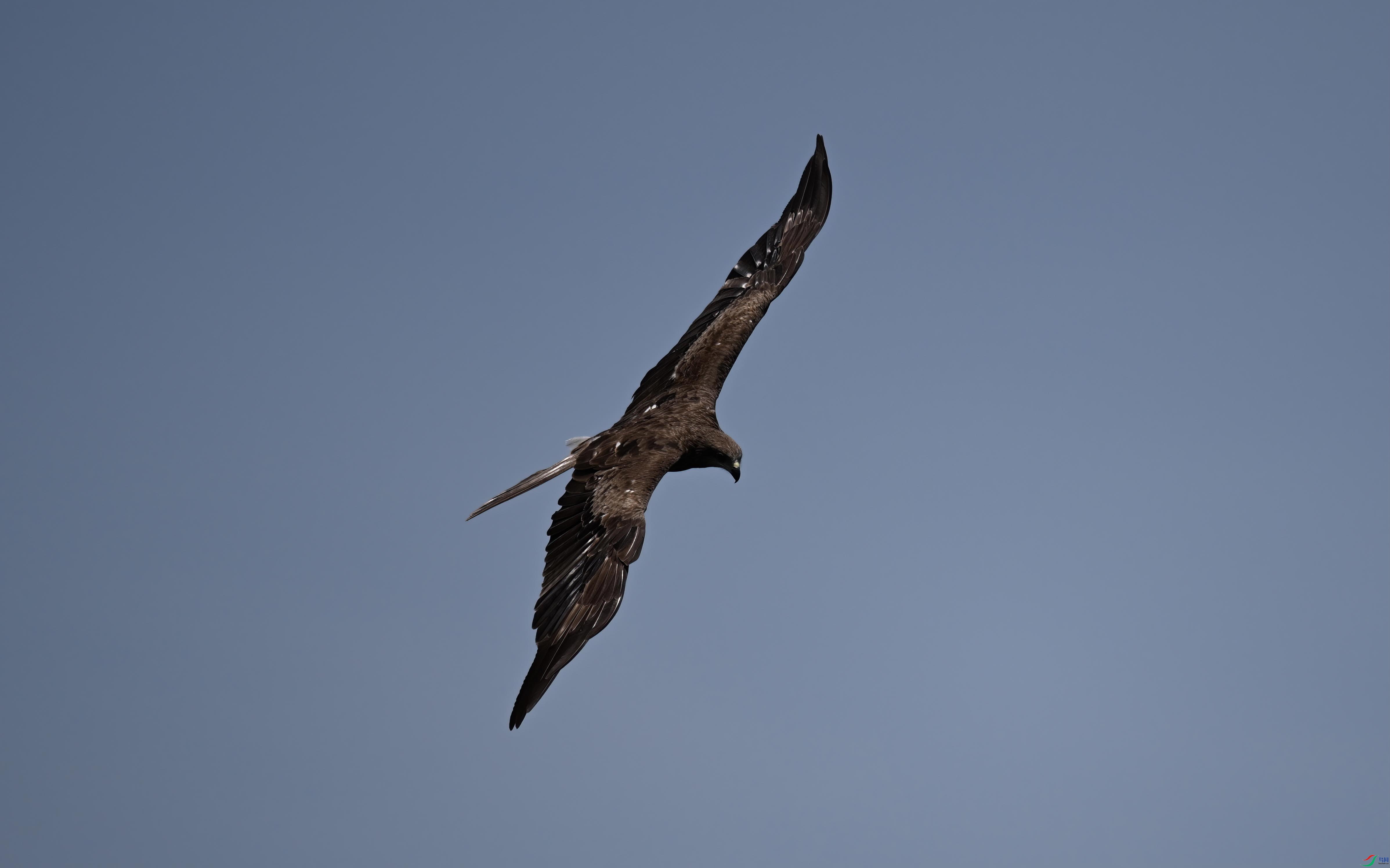 DSC_5310.JPG