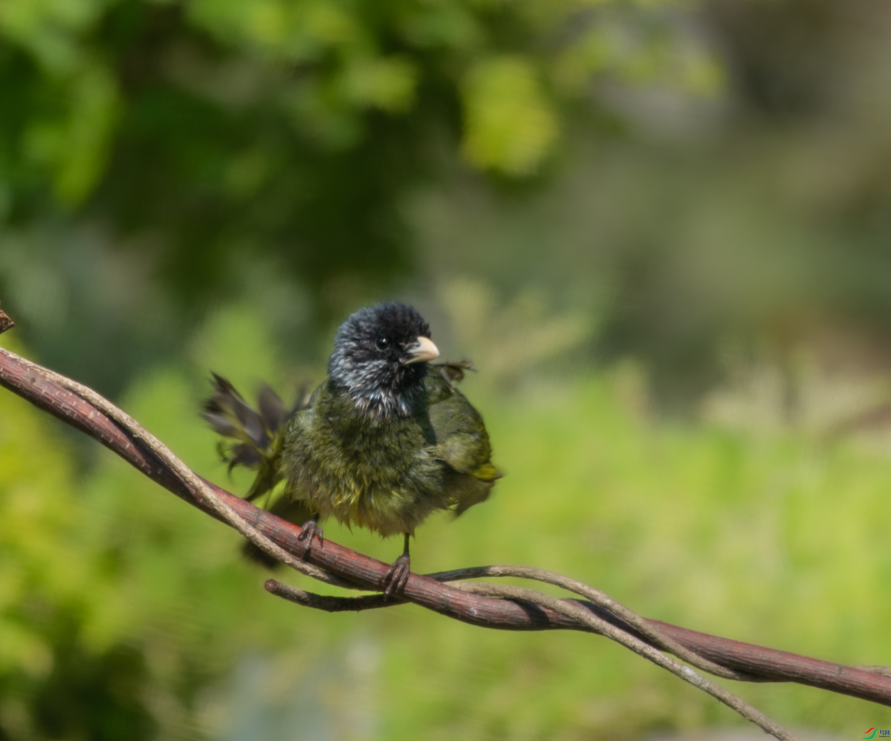 DSC_2228�޸�_1.JPG