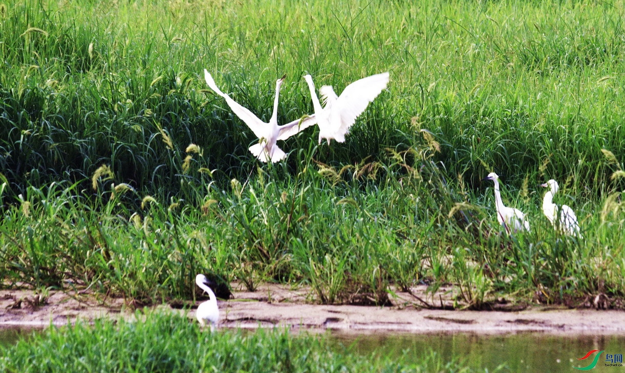 01 - ���� - ����.jpg