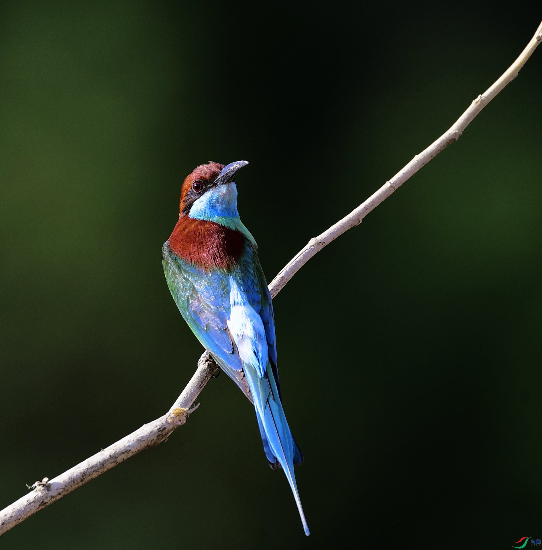 _D5D0408.jpg