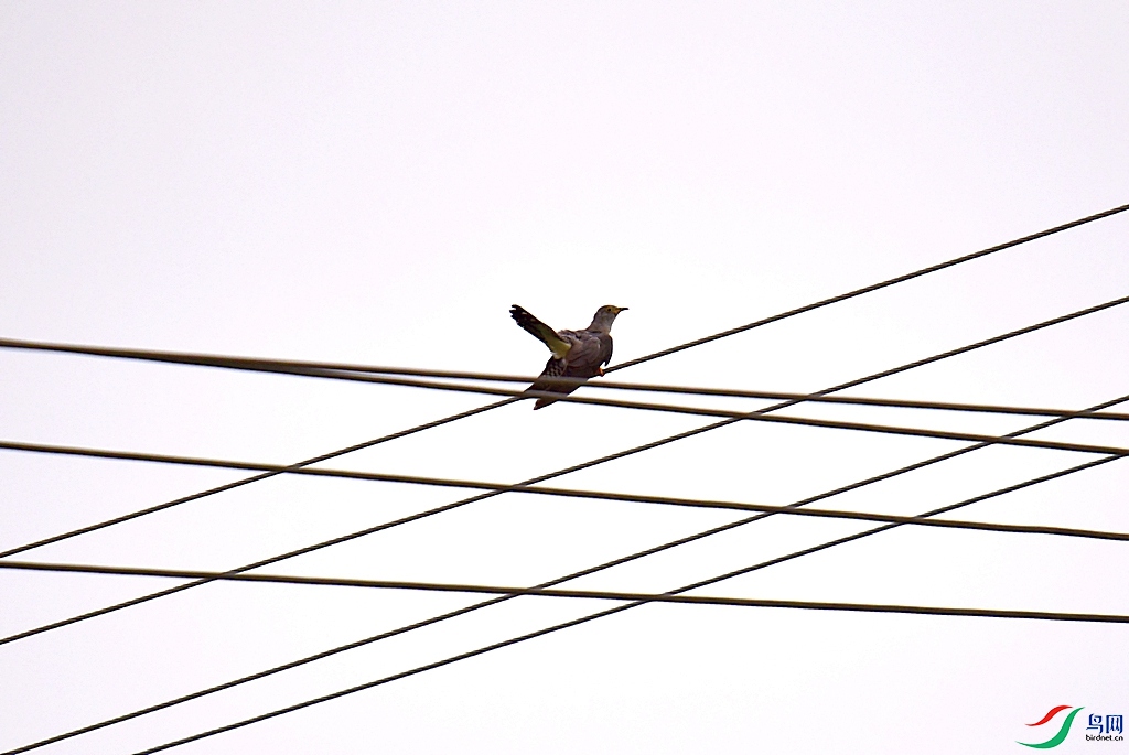 DSC_3584.JPG