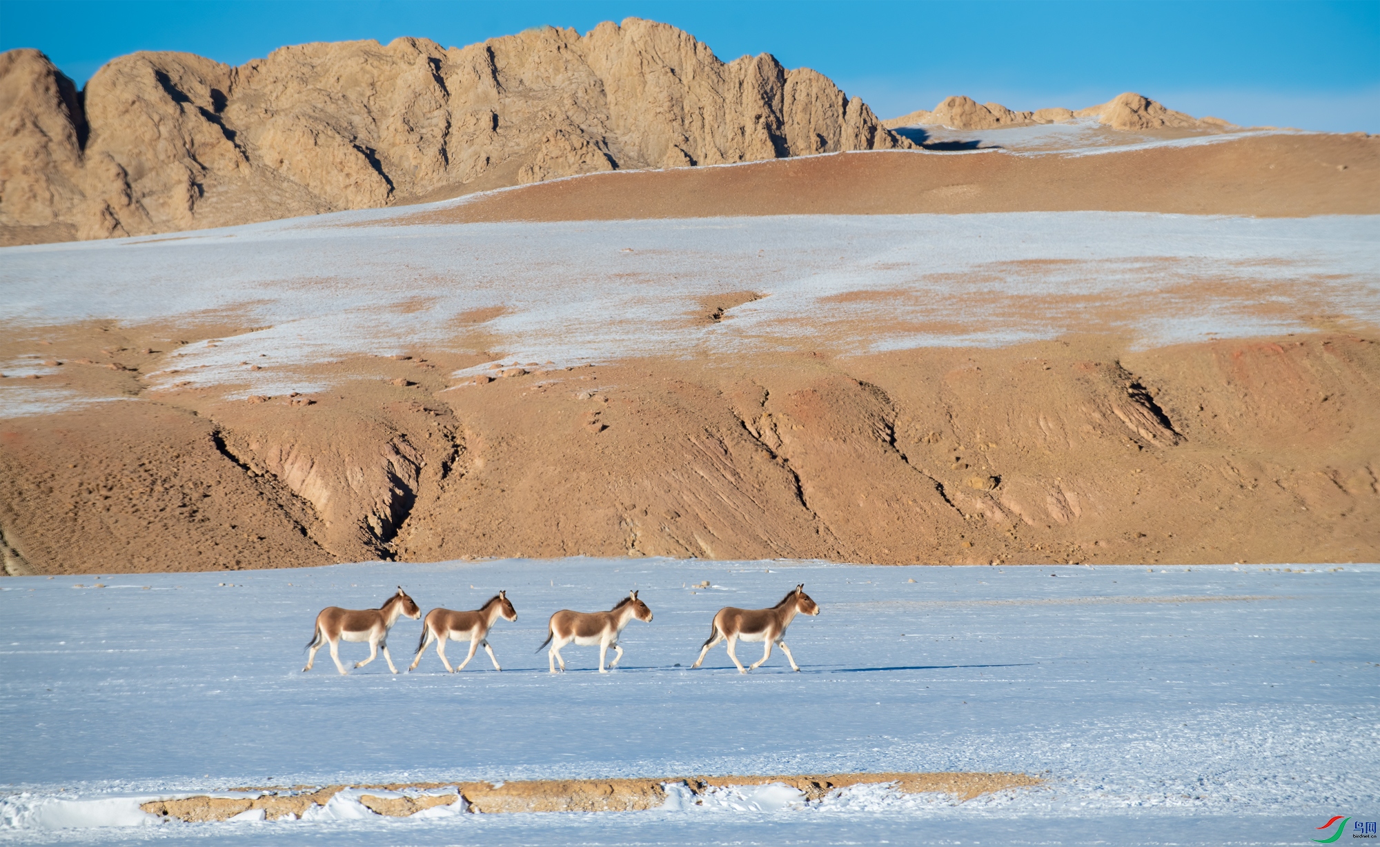 DSC_3826-11.jpg