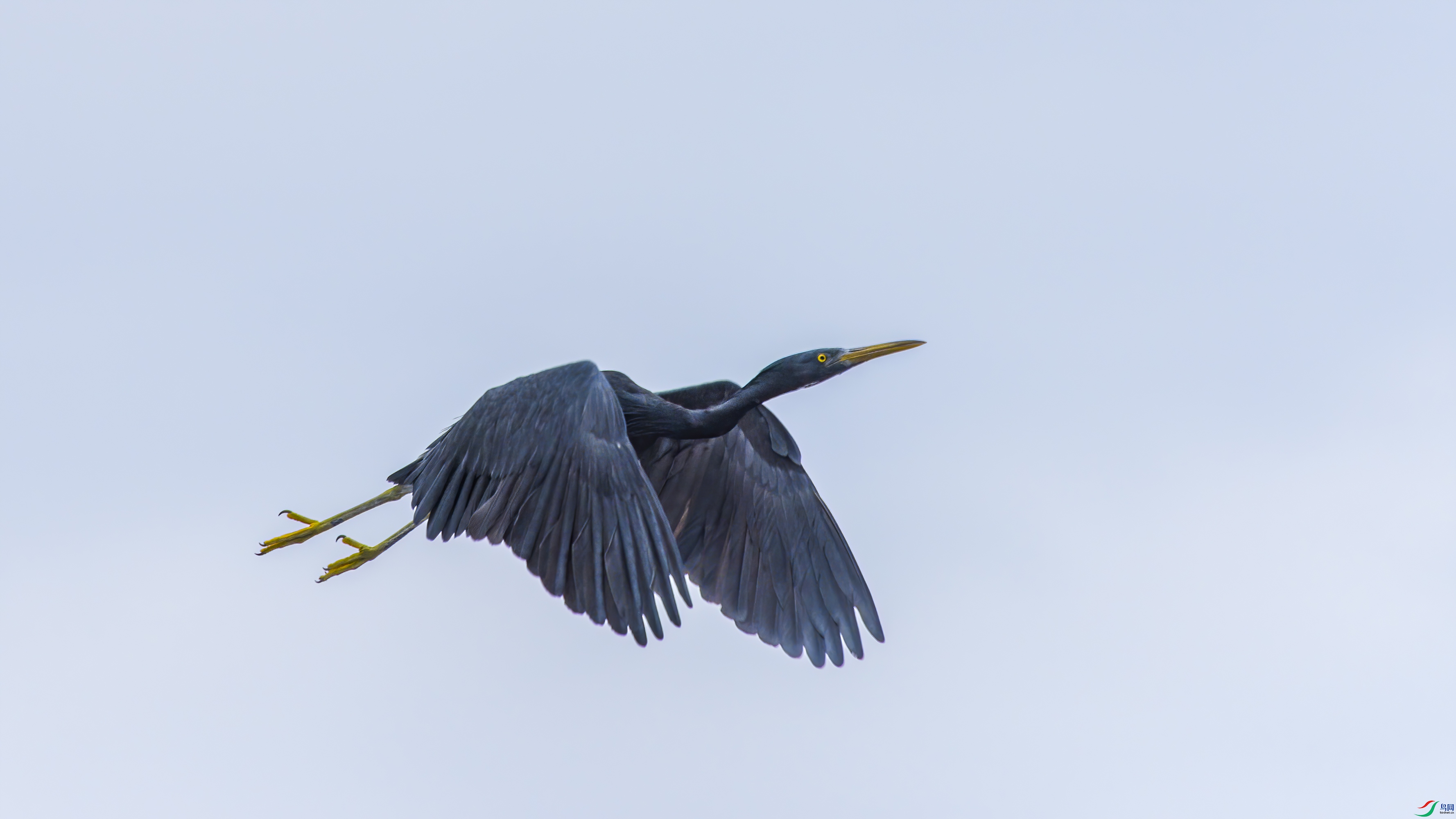 DSC_8126.jpg