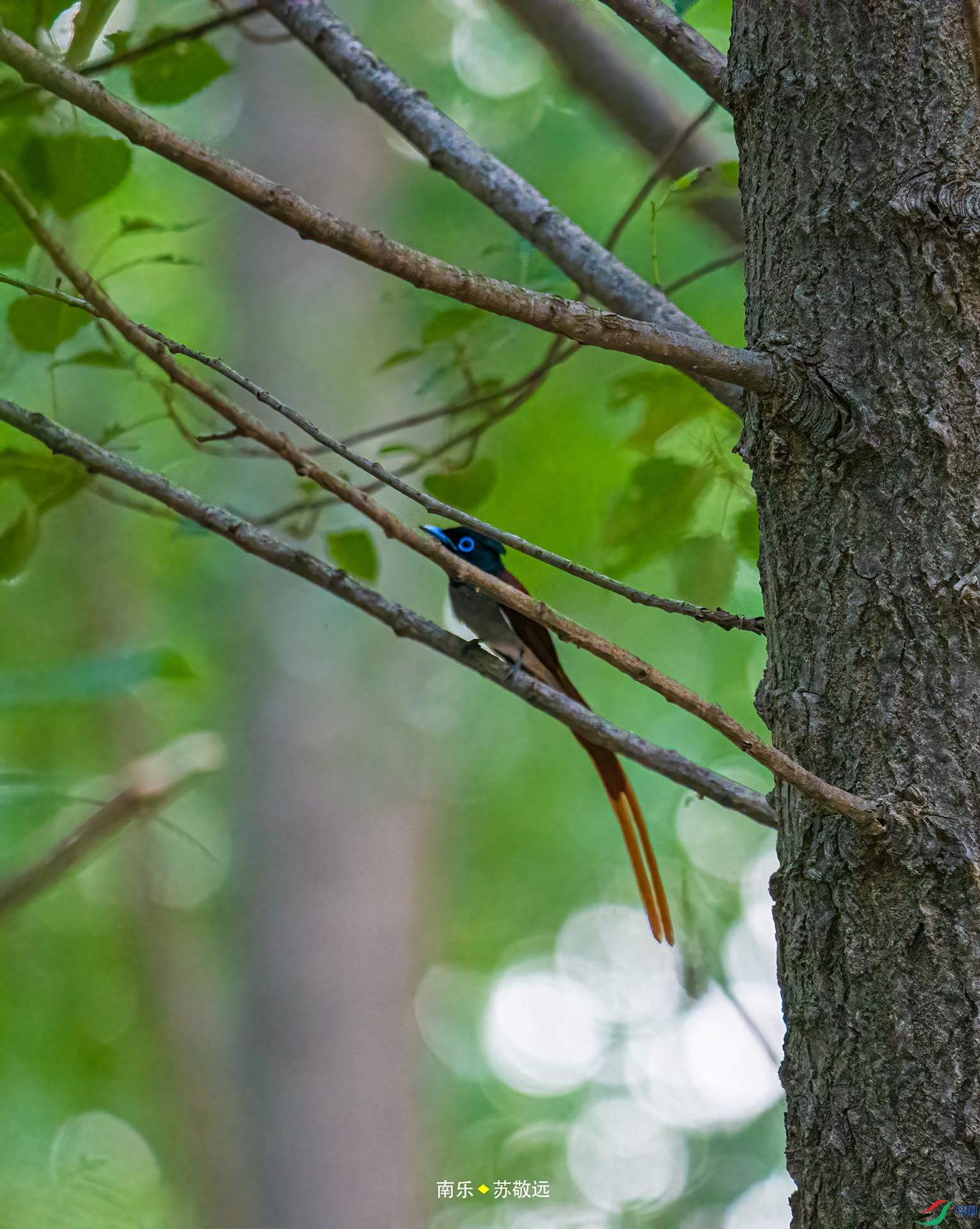 _DSC4178С.jpg