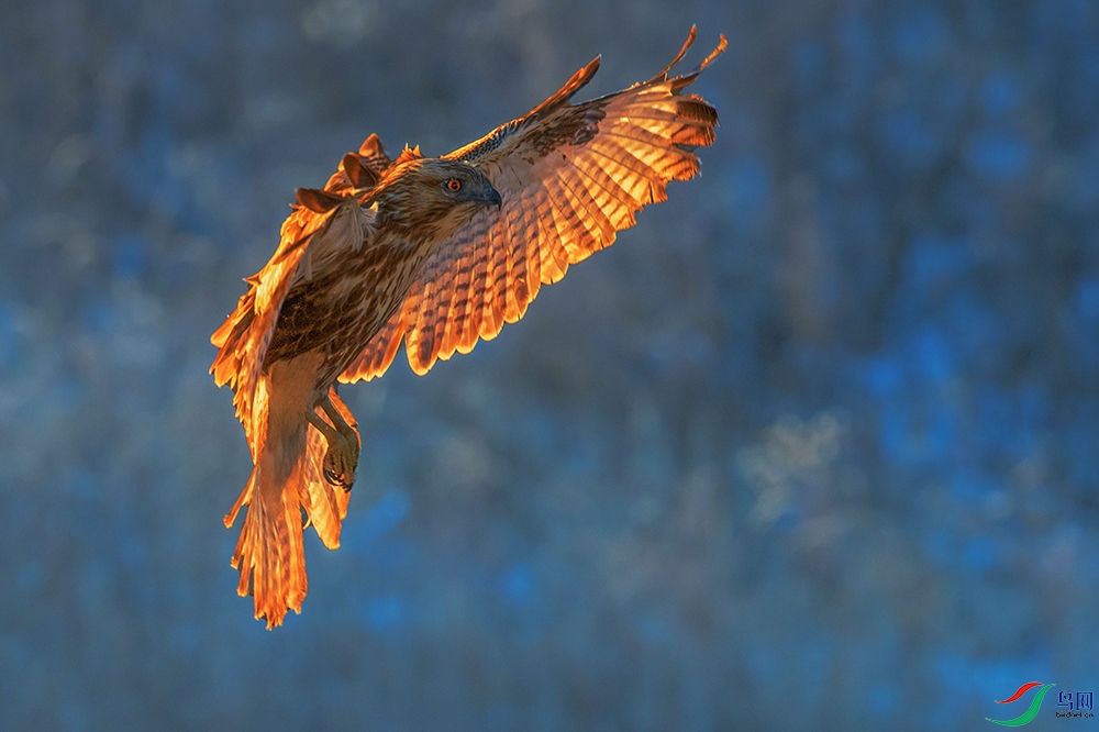 ���\----ֱ���Ʒ��ó���