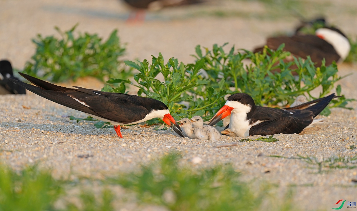 DSD02914----.jpg