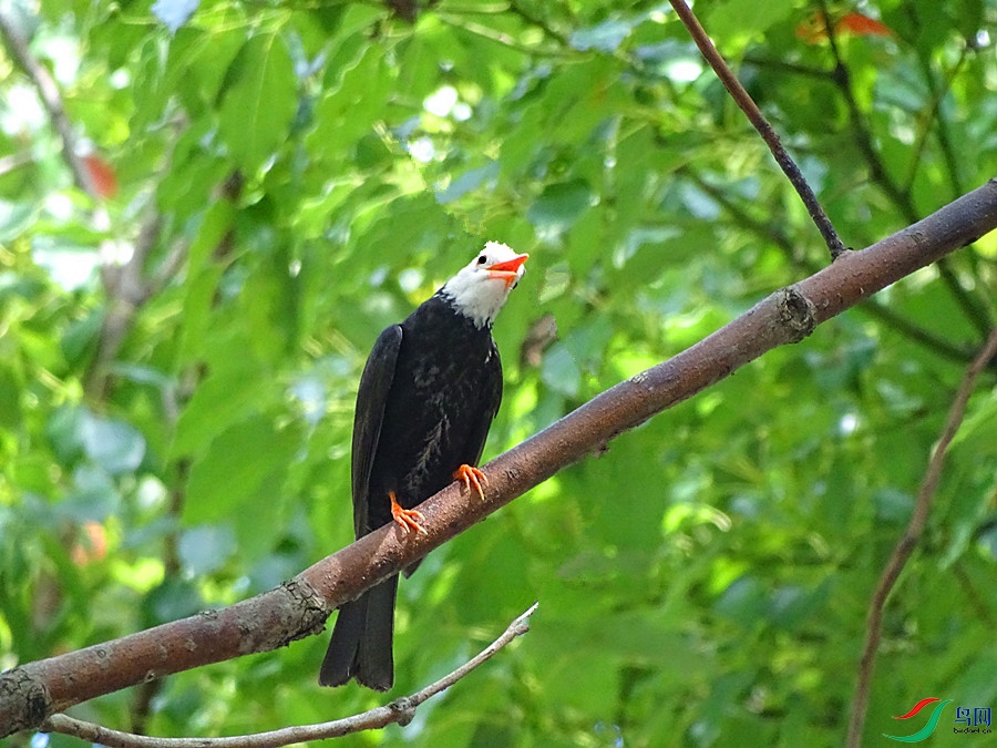 DSC02143.JPG