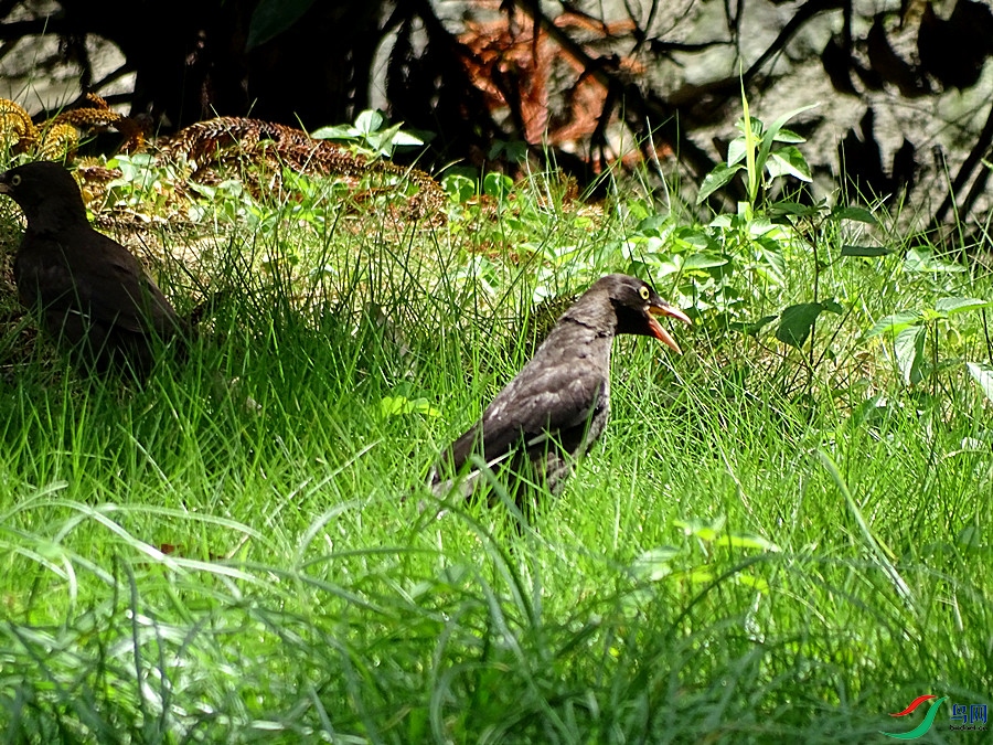 DSC02163.JPG