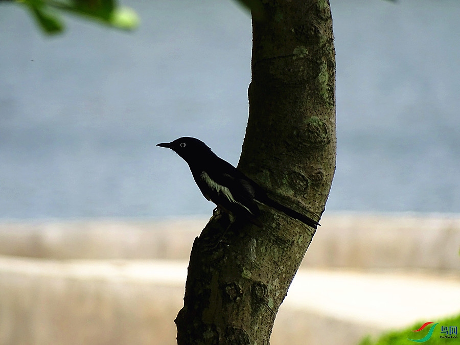 DSC02172.JPG
