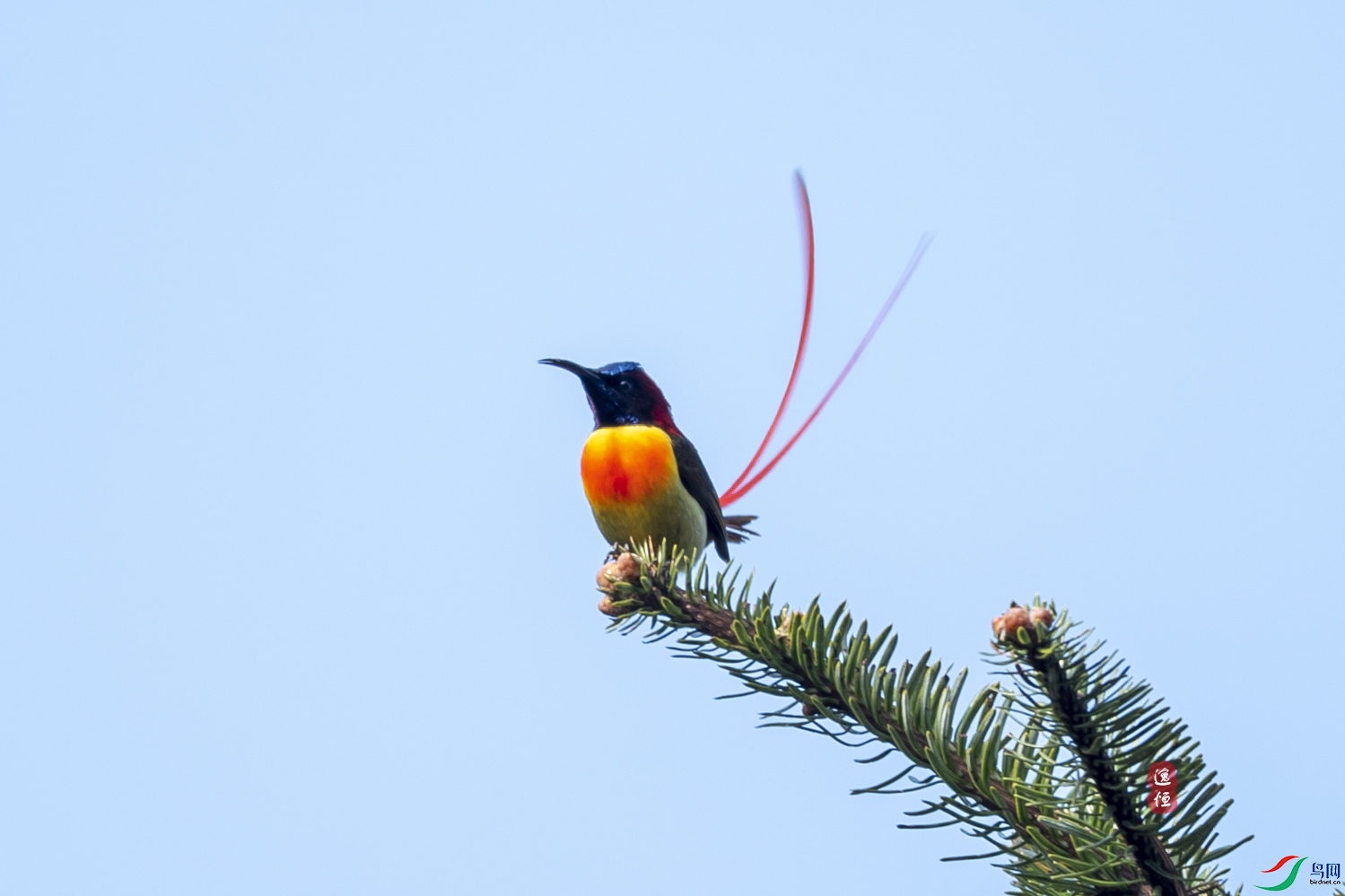 DSC_5349.jpg