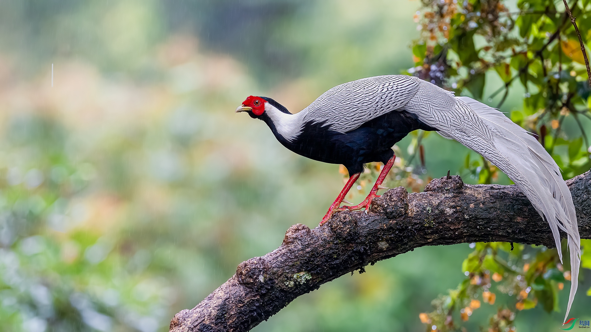 _DSC4674.jpg