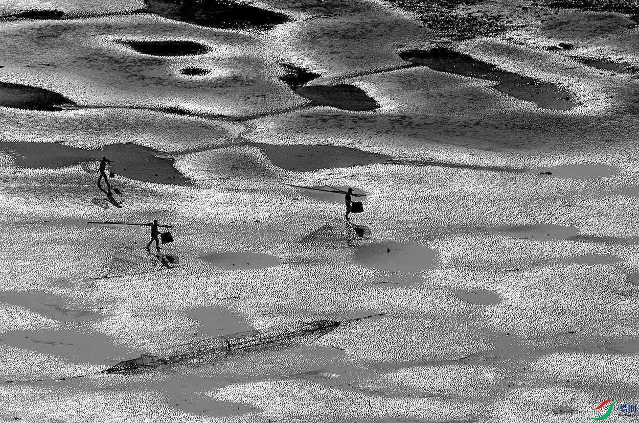 IMG_2231-55.jpg