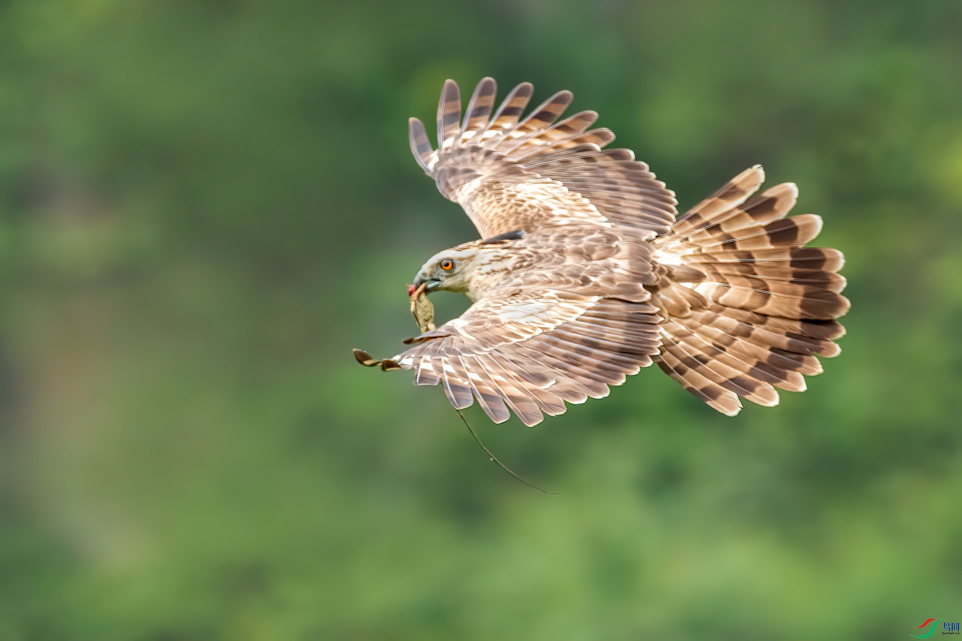 B86I5769 _����.jpg